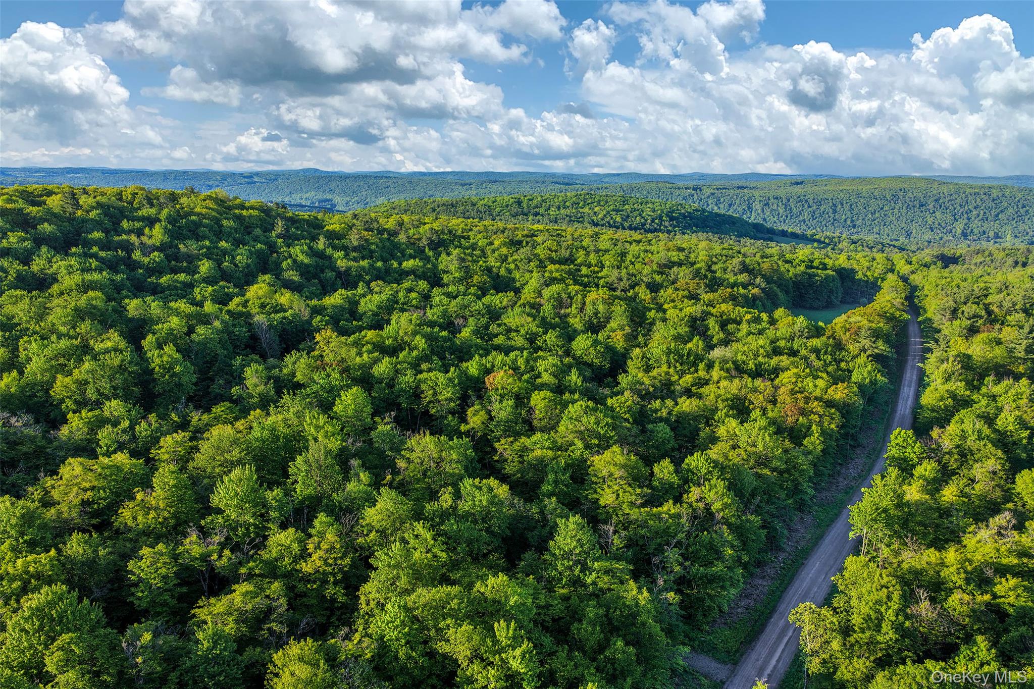 Frank Slawson Road – For Sale photo 4