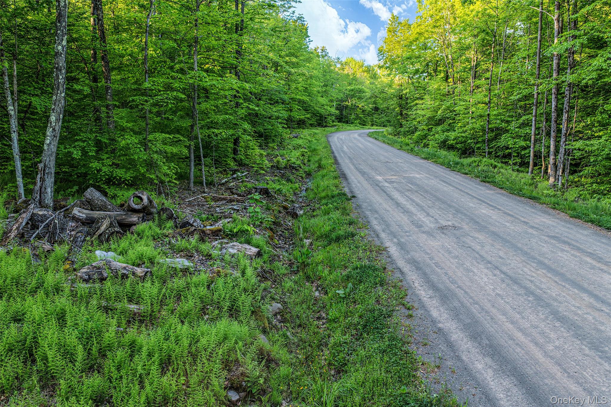 Frank Slawson Road – For Sale photo 5