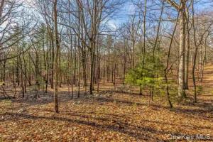 TBD Cragsmoor/Vista Maria – For Sale photo 8