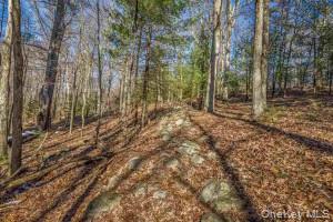 TBD Cragsmoor/Vista Maria – For Sale photo 9