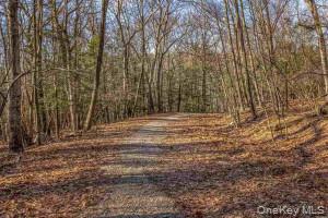 TBD Cragsmoor/Vista Maria – For Sale photo 3