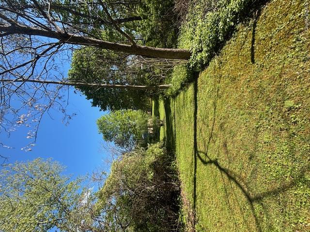 29 E Kerley Corners – For Sale photo 29