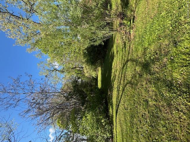 29 E Kerley Corners – For Sale photo 28