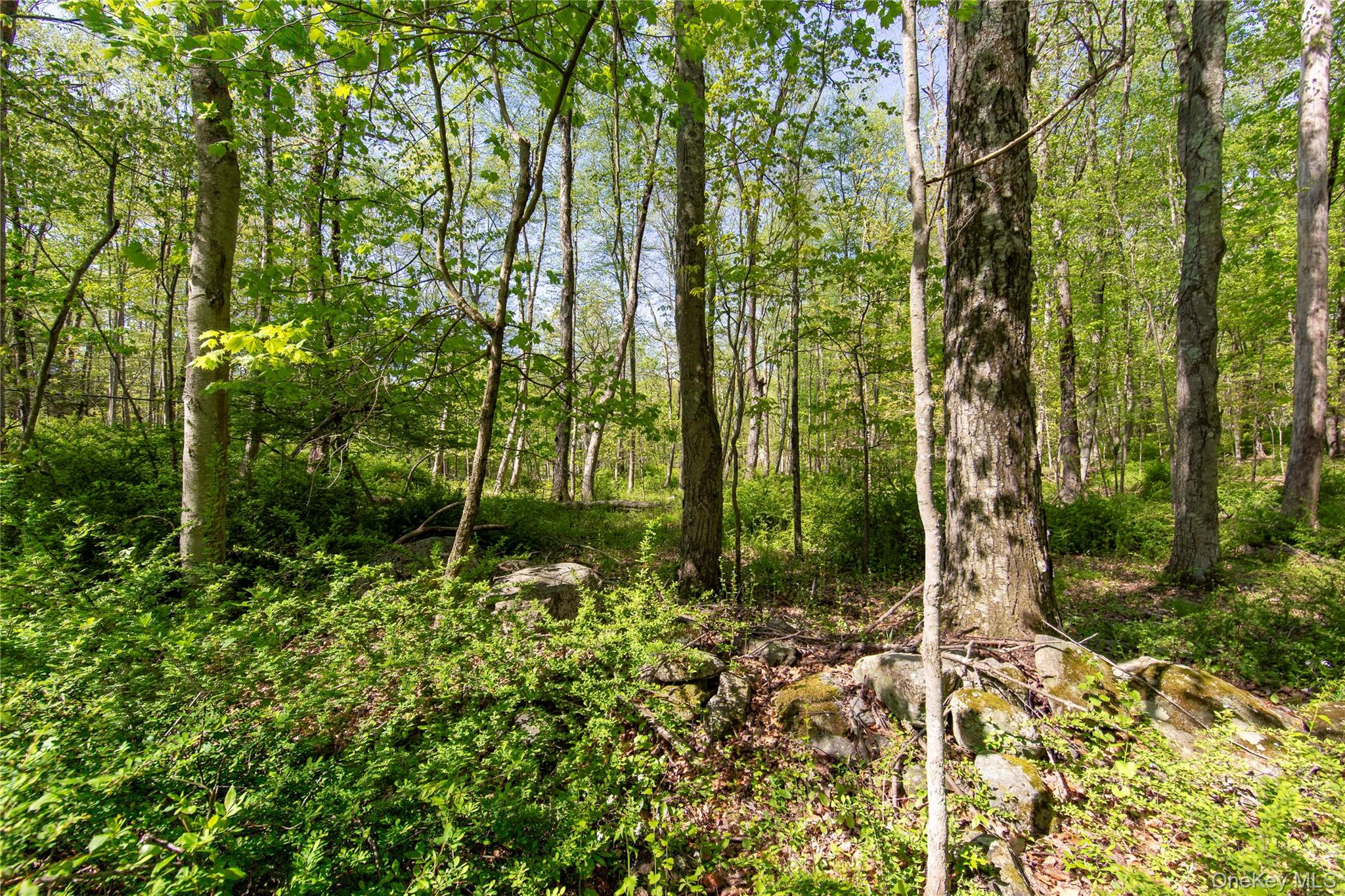 298 Nash Road – For Sale photo 8