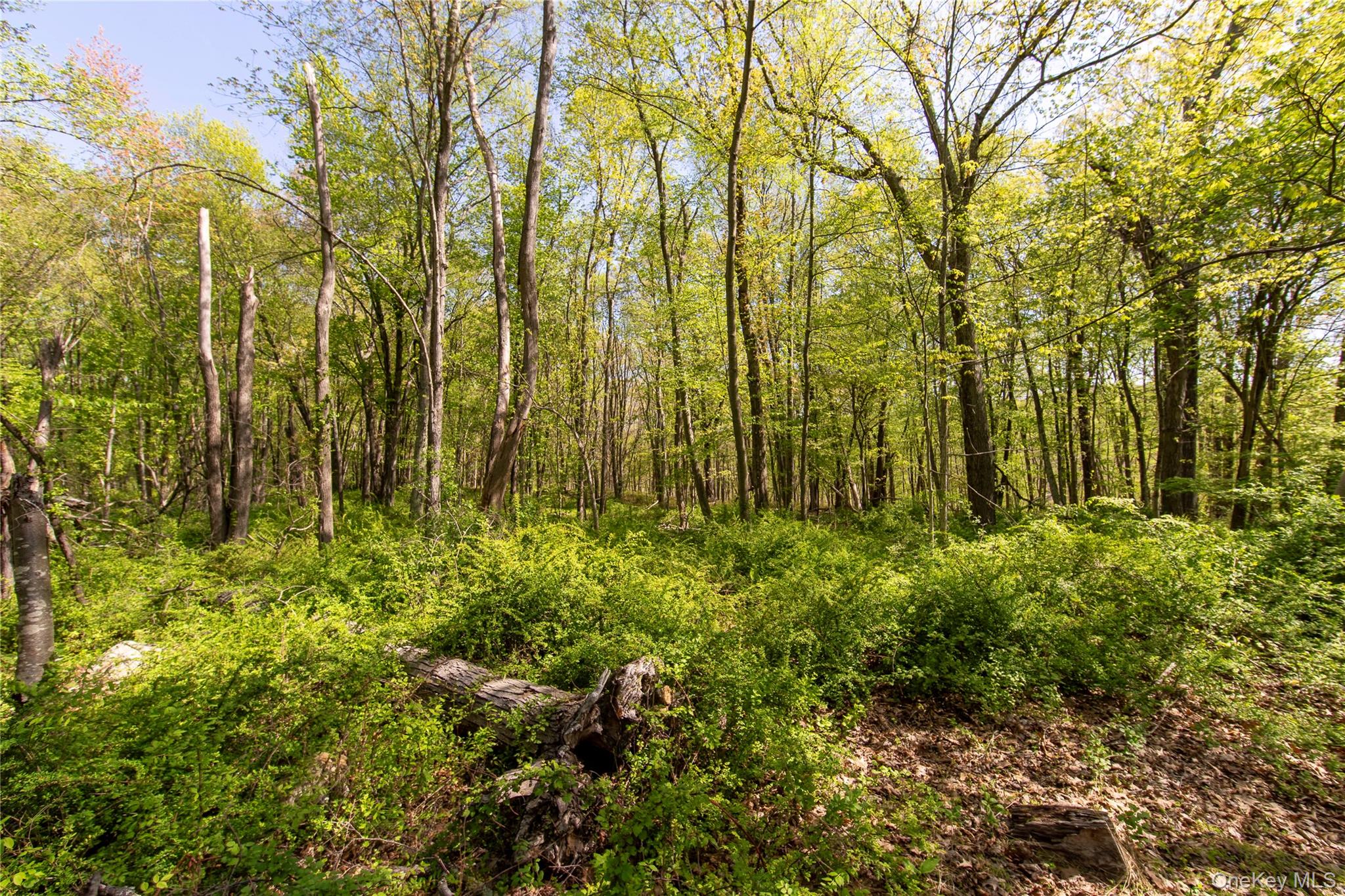 298 Nash Road – For Sale photo 5