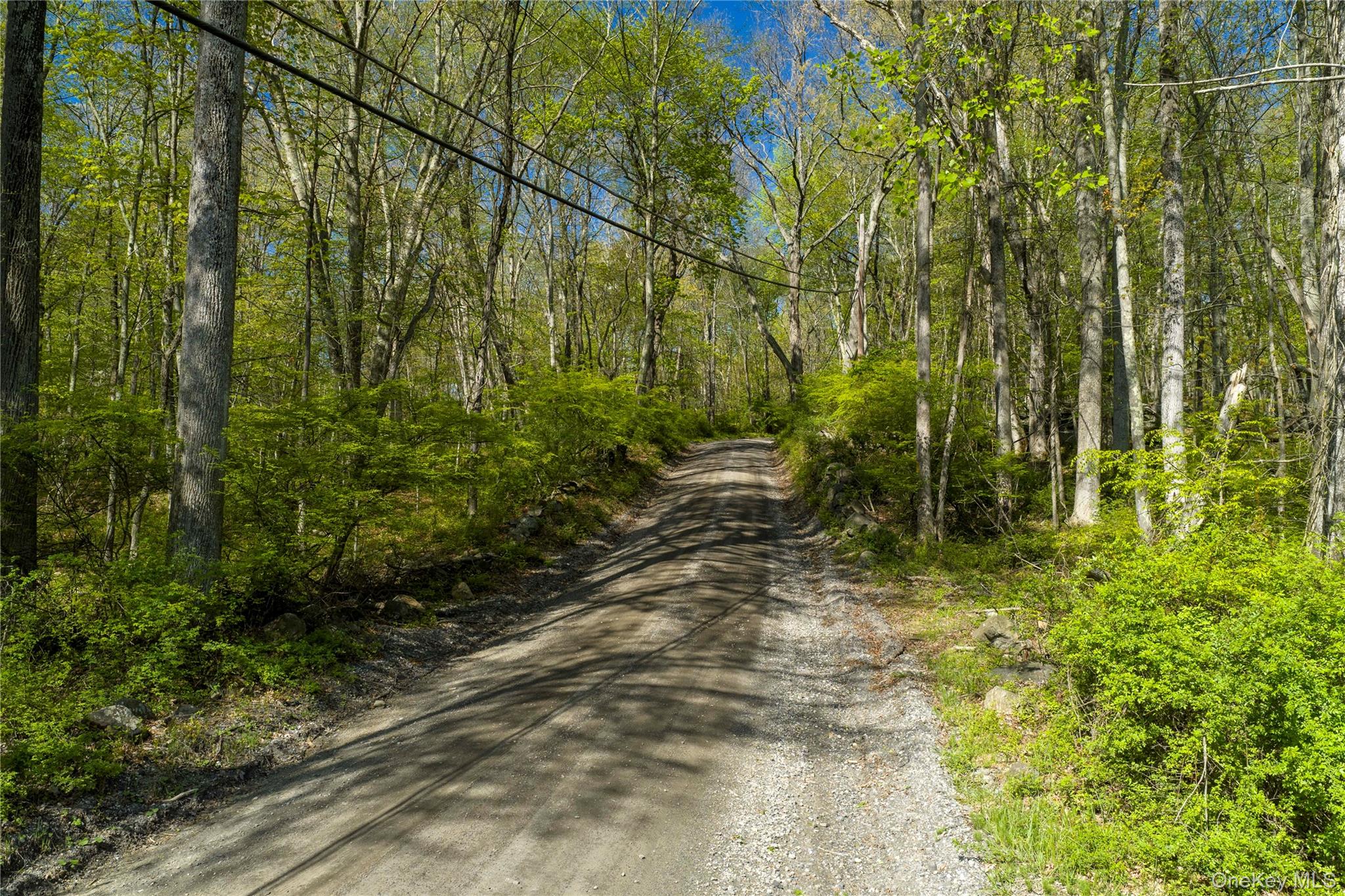 298 Nash Road – For Sale photo 11