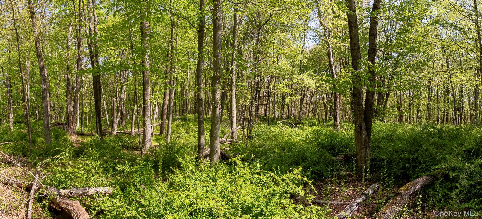 298 Nash Road – For Sale photo 7