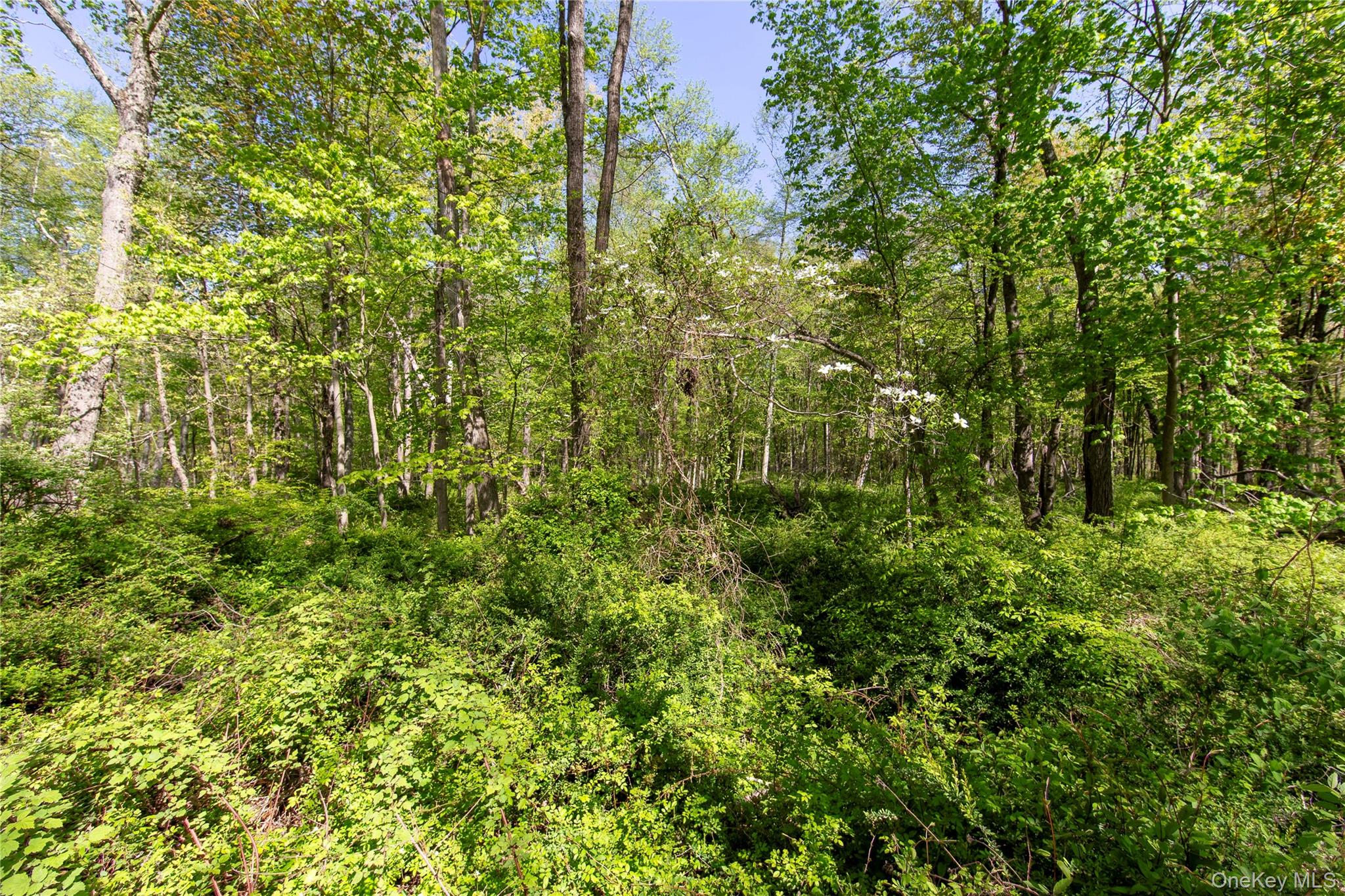 298 Nash Road – For Sale photo 6