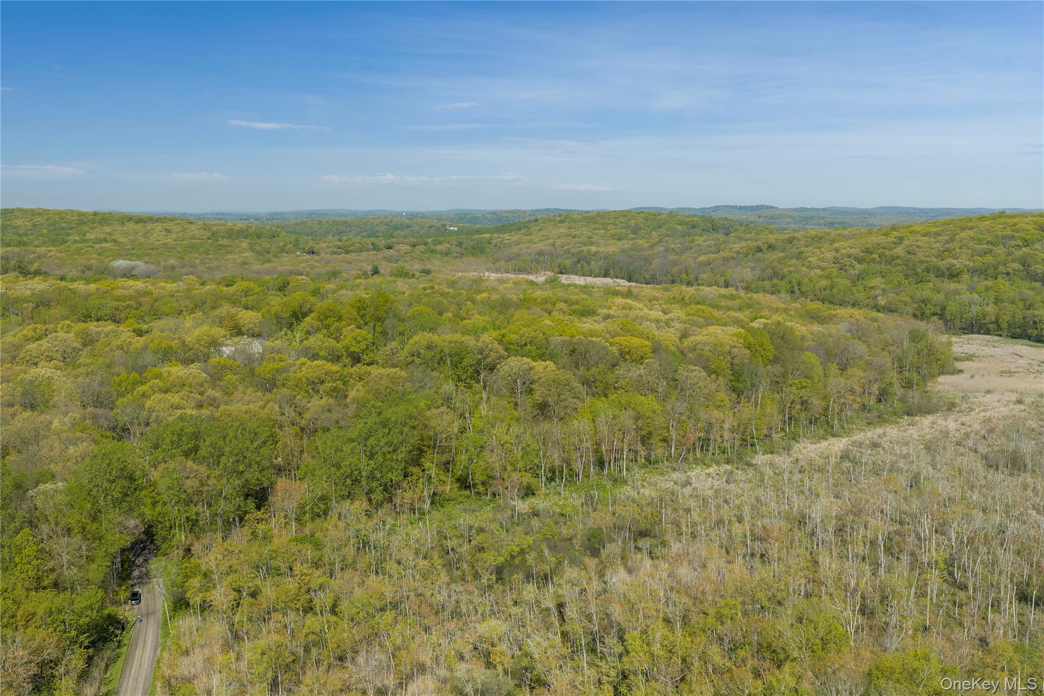 298 Nash Road – For Sale photo 3