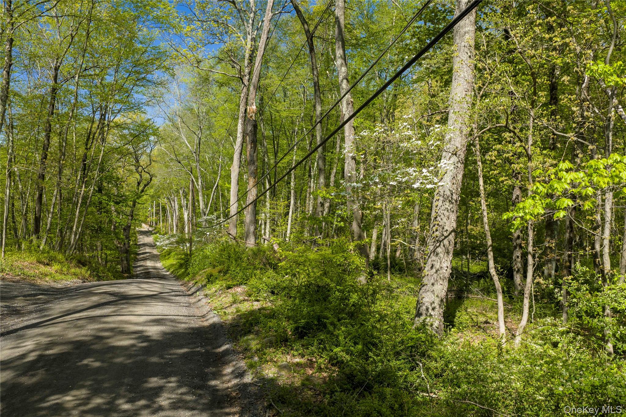 298 Nash Road – For Sale photo 2
