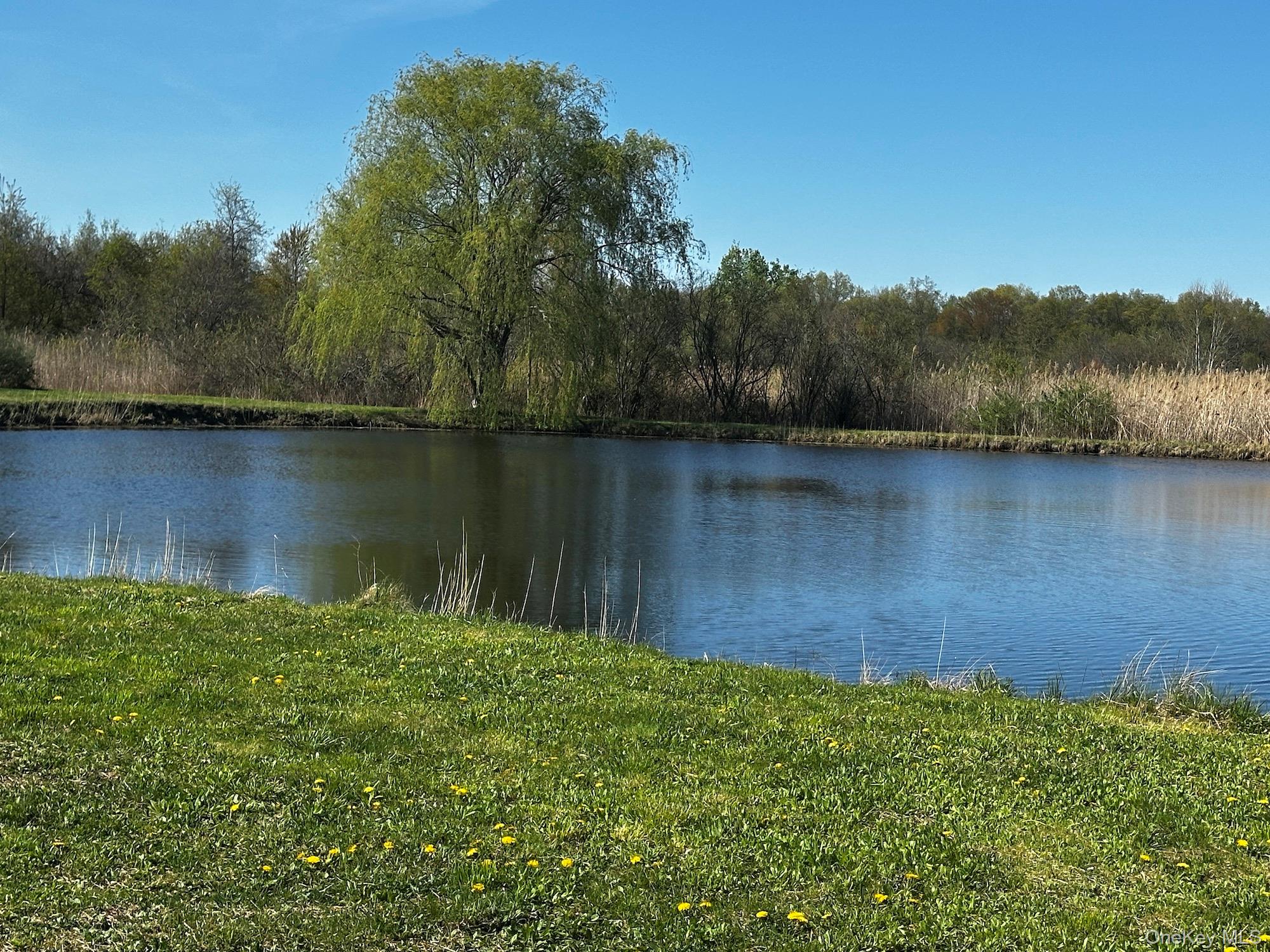 Route 32 S – For Sale photo 5