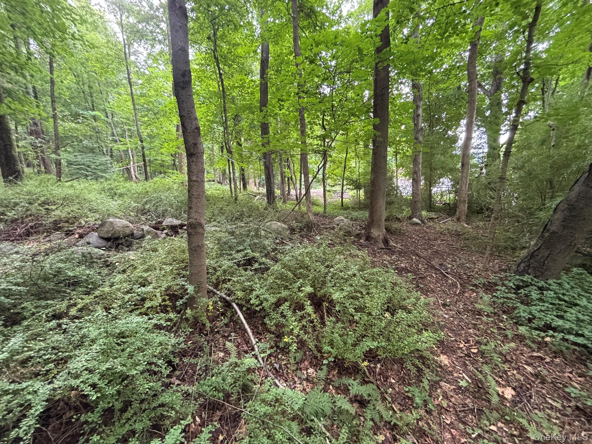 163 Green Lane – For Sale photo 3