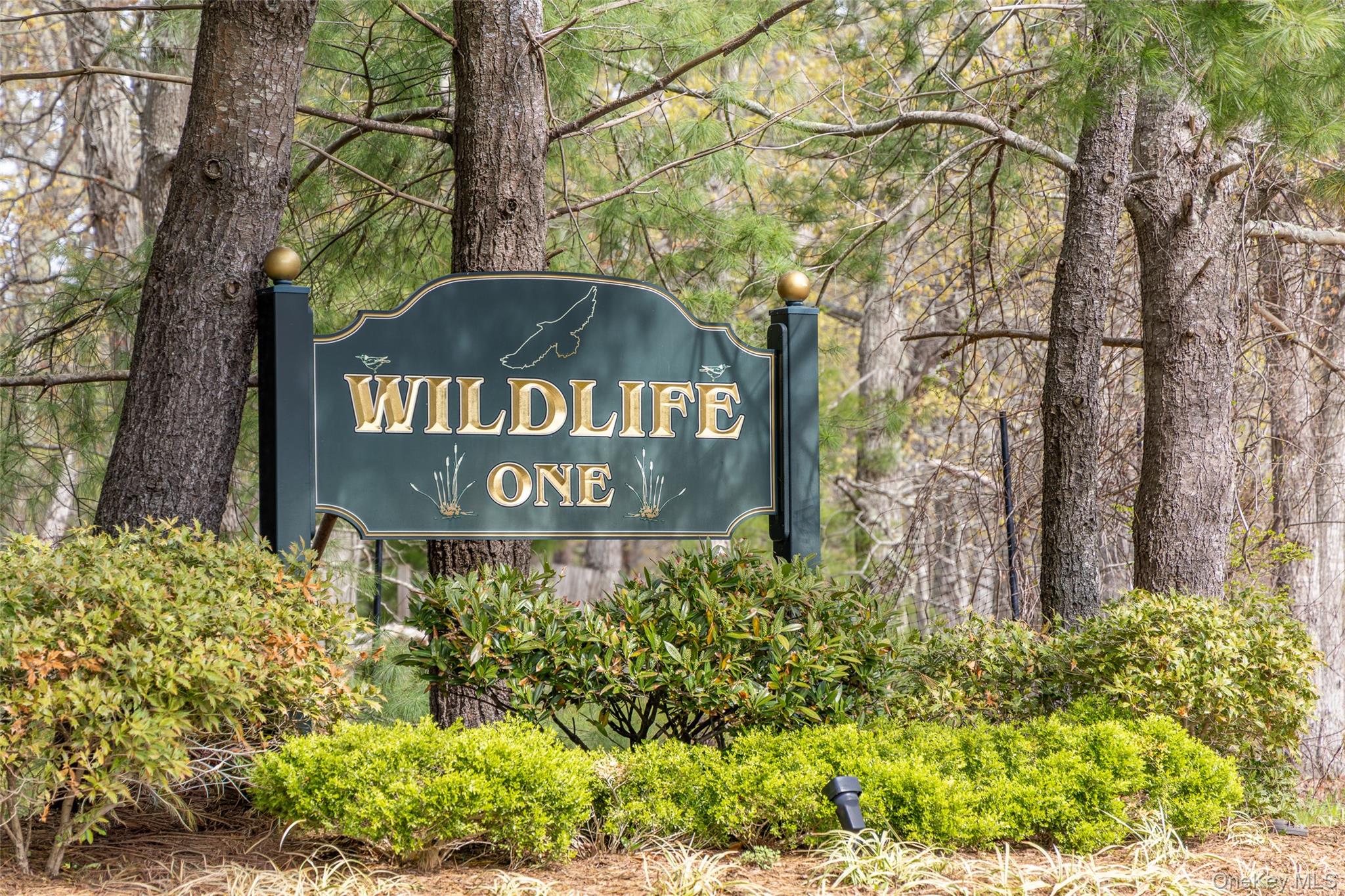 1 Whippoorwill Lane – For Rent photo 32