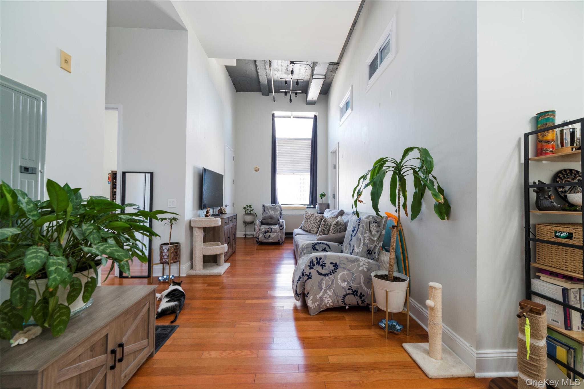 25 Leroy Place, Unit 501 photo 3