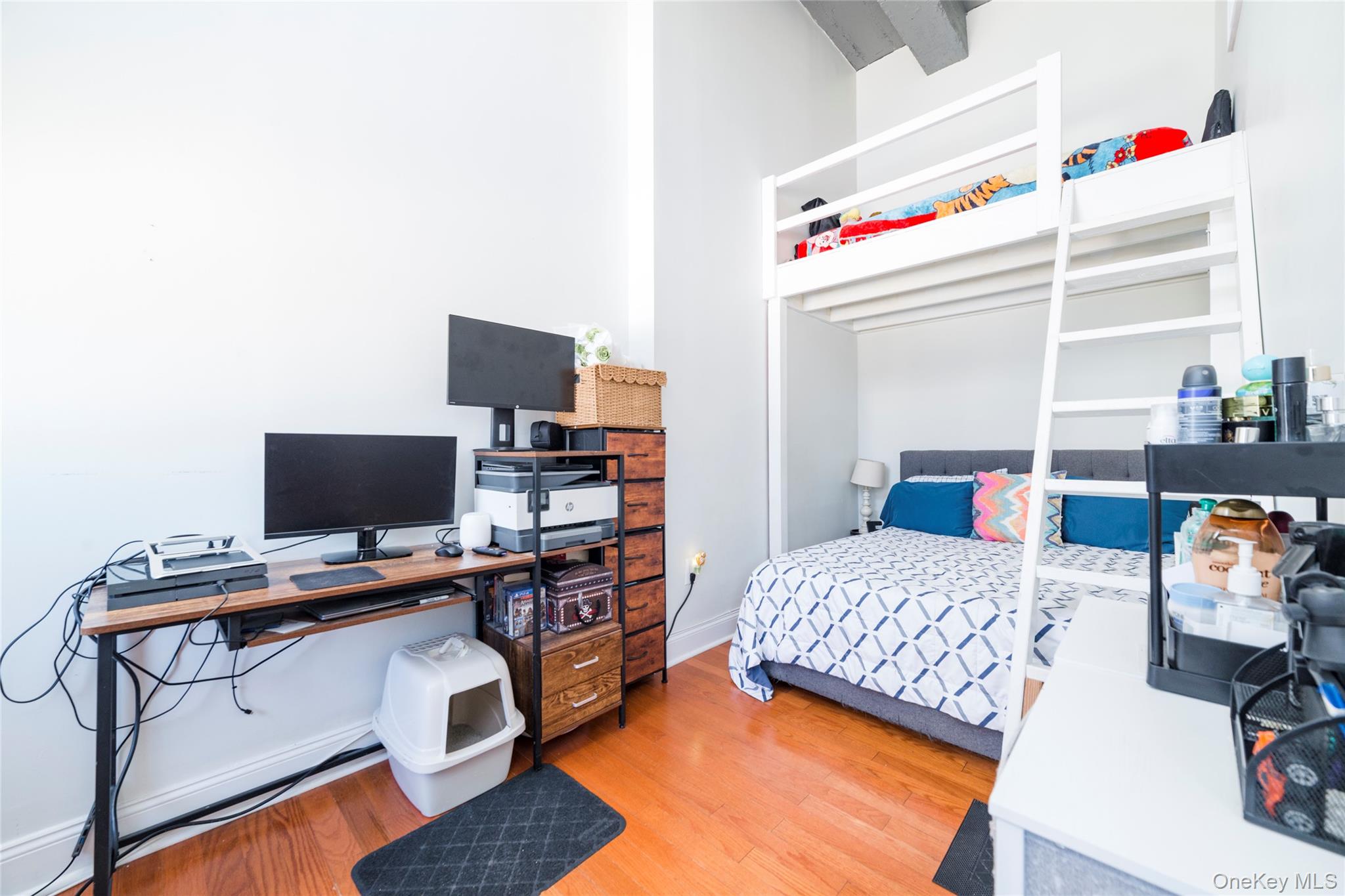 25 Leroy Place, Unit 501 photo 10