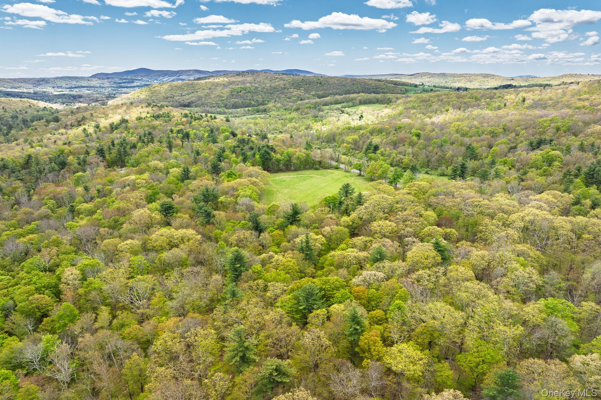0 County Route 21 – For Sale photo 9
