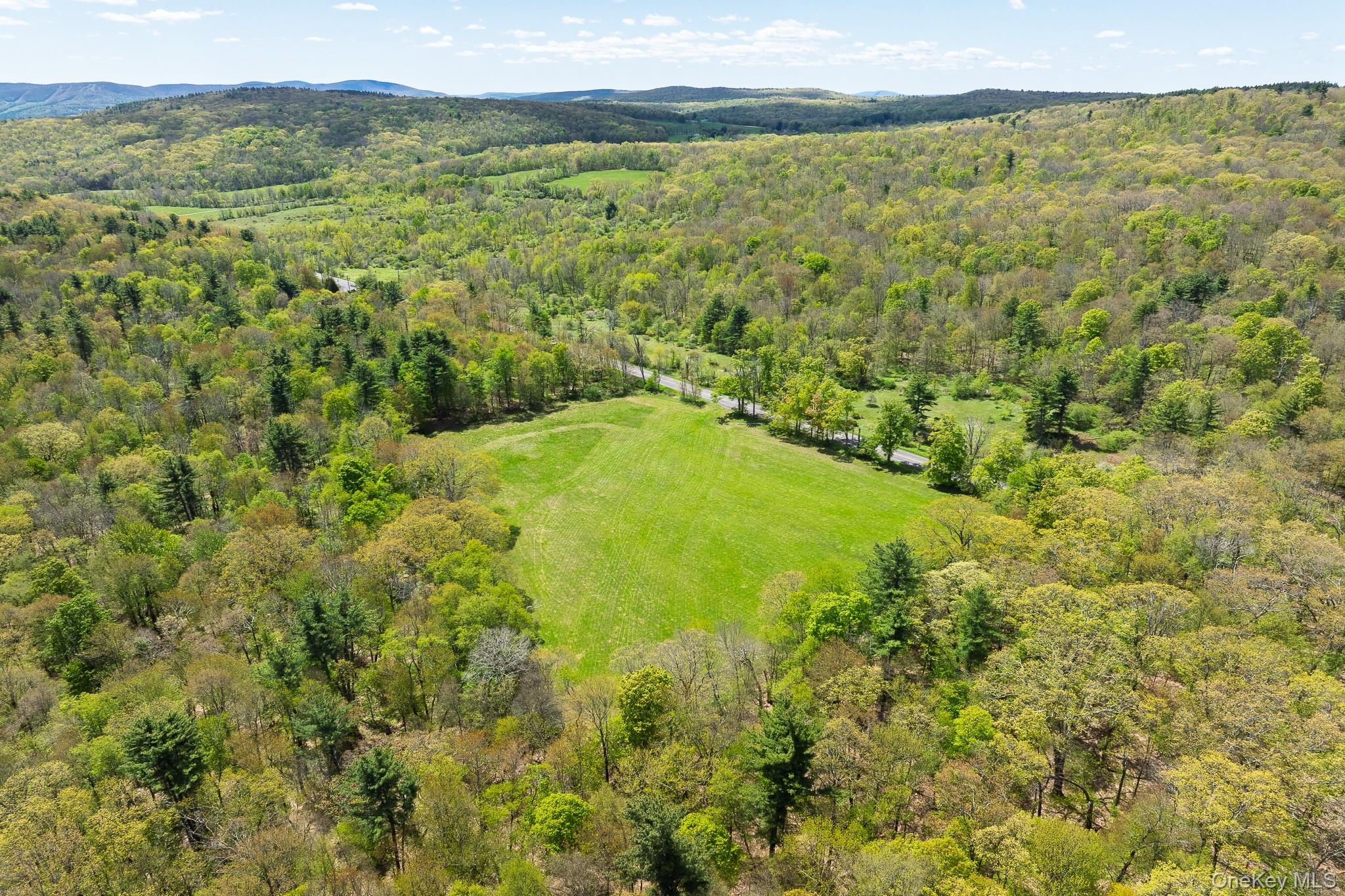 0 County Route 21 – For Sale photo 11