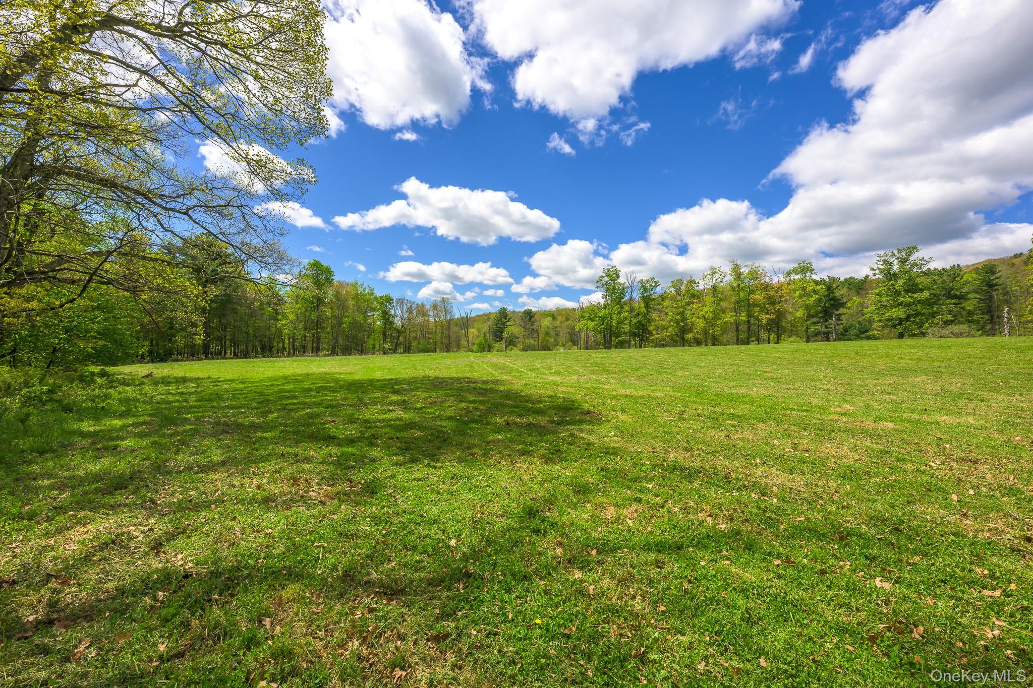 0 County Route 21 – For Sale photo 17