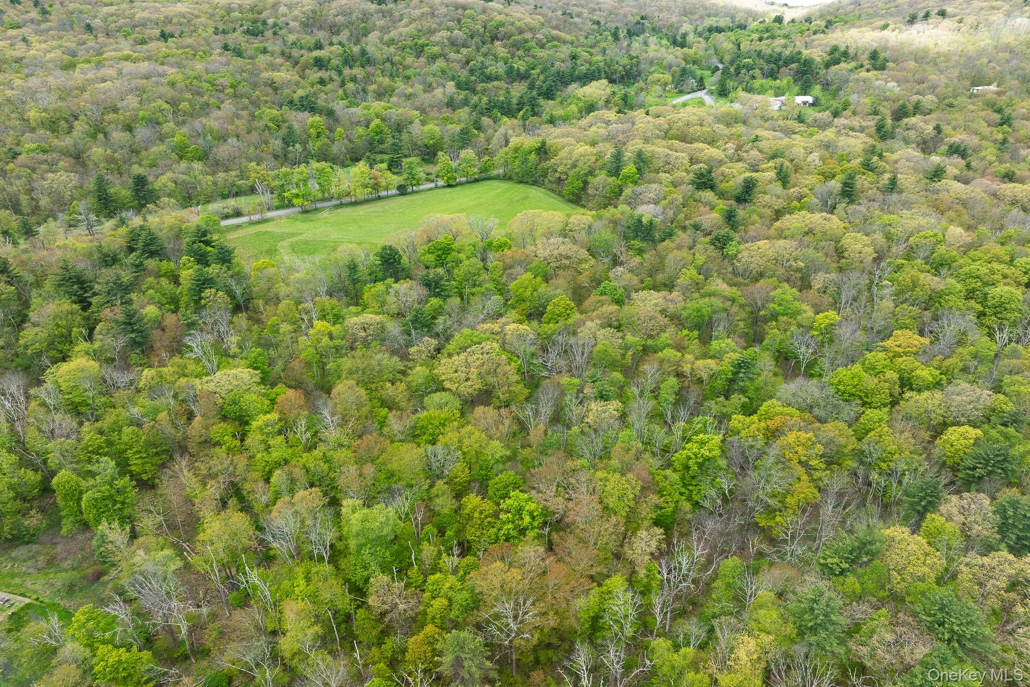 0 County Route 21 – For Sale photo 7