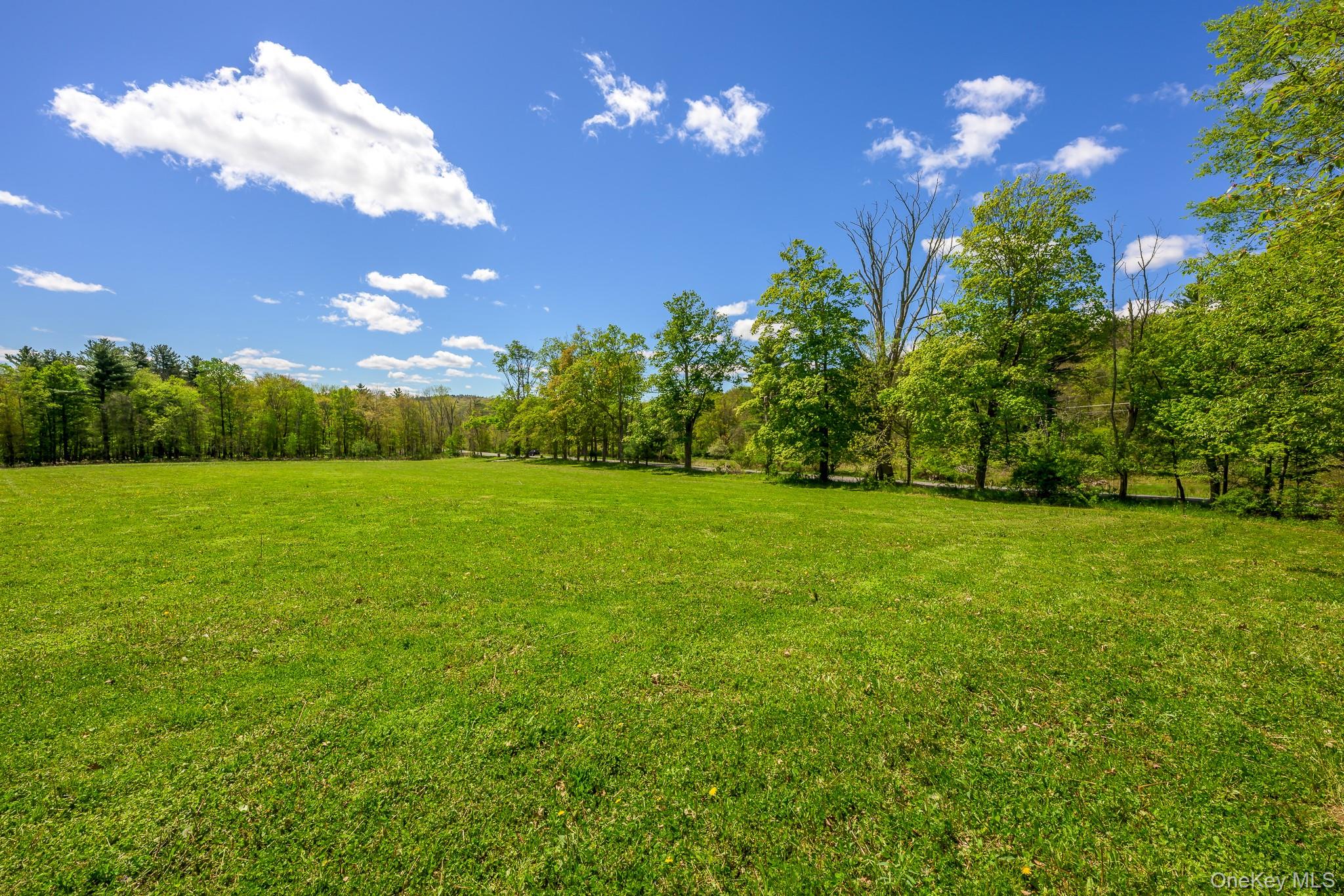 0 County Route 21 – For Sale photo 15