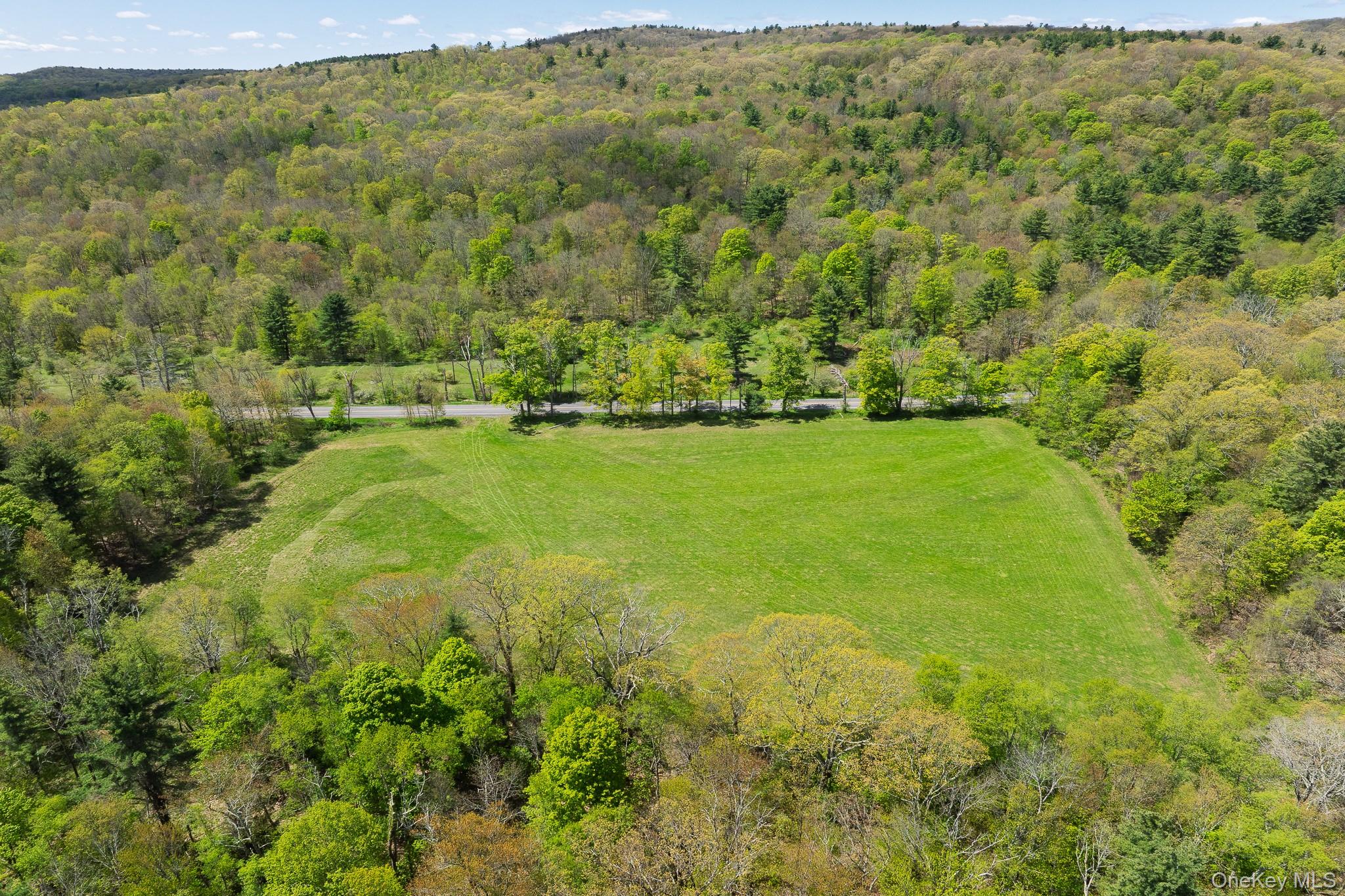 0 County Route 21 – For Sale photo 10
