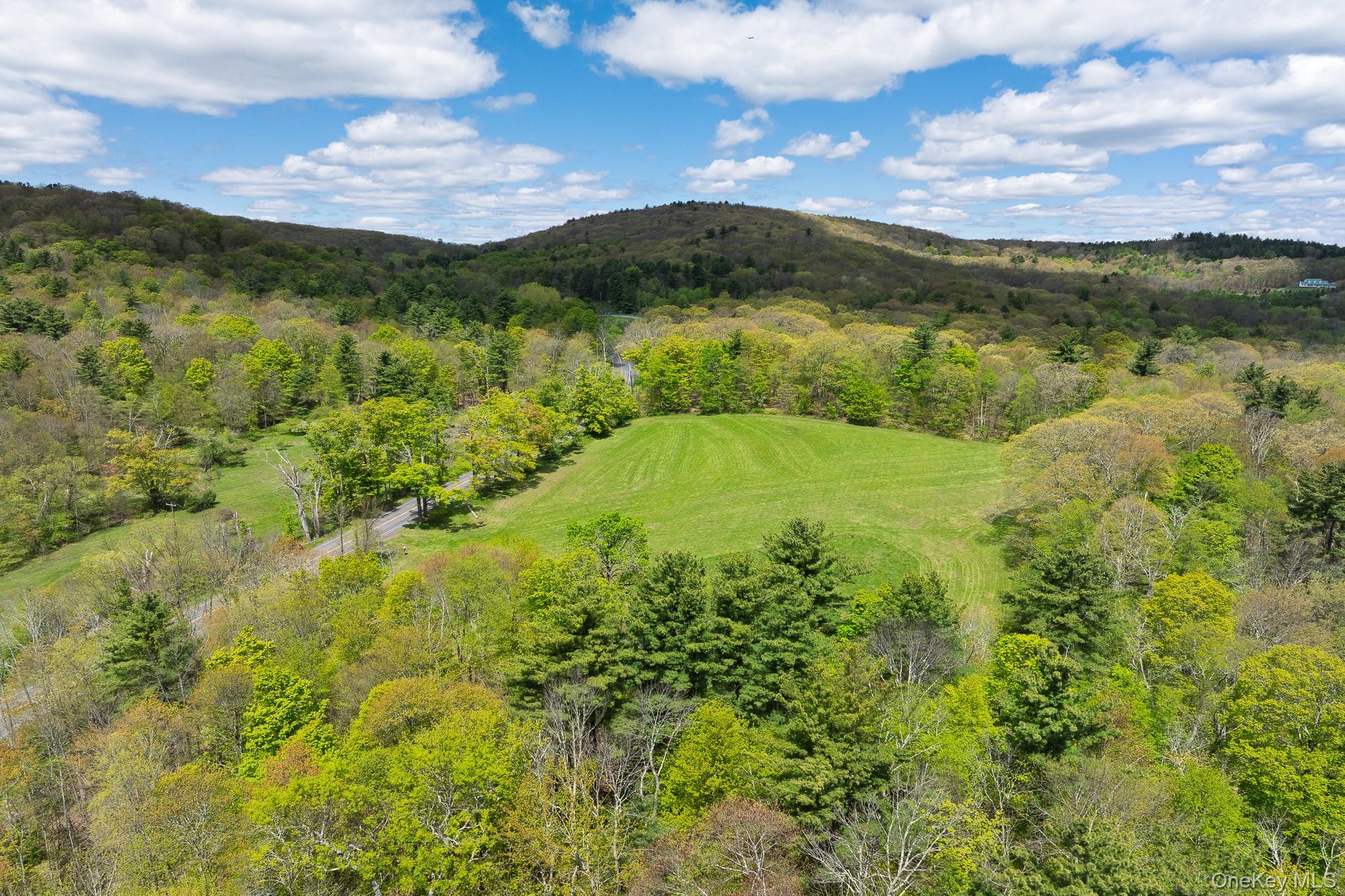 0 County Route 21 – For Sale photo 5