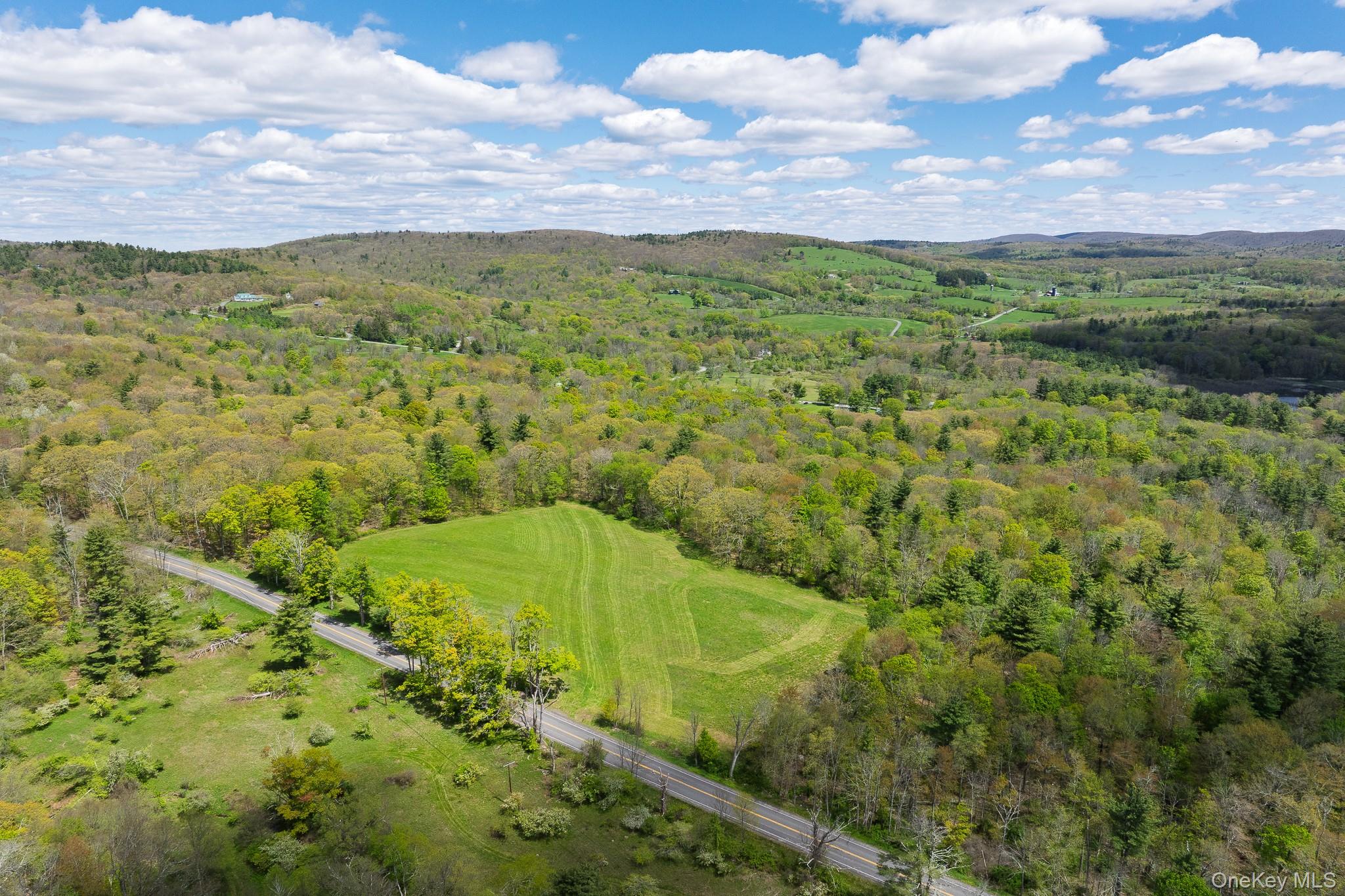 0 County Route 21 – For Sale photo 3