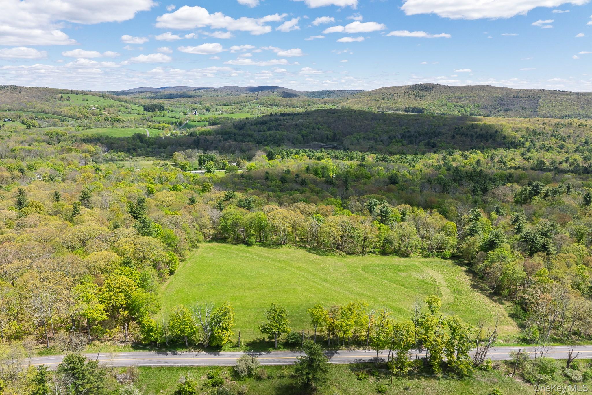 0 County Route 21 – For Sale photo 2