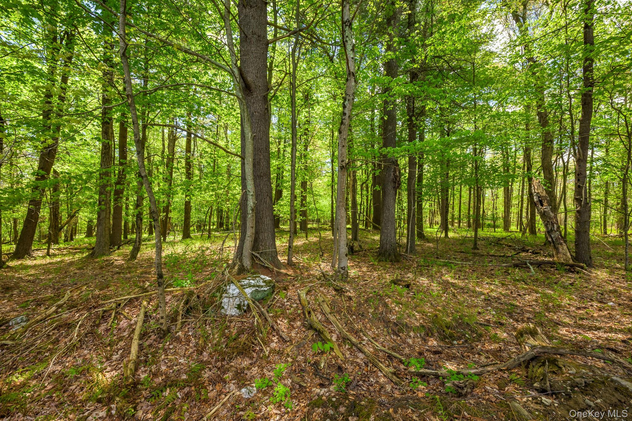 0 County Route 21 – For Sale photo 18