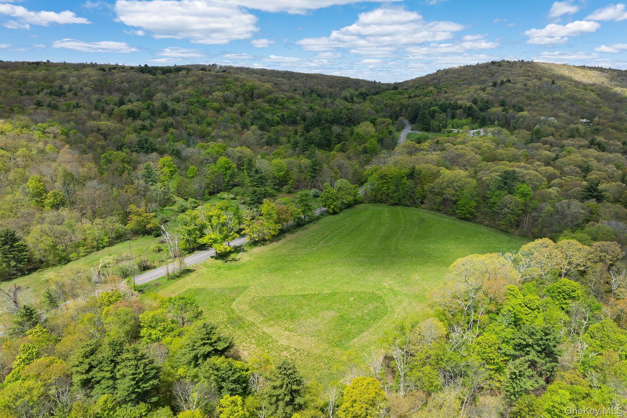 0 County Route 21 – For Sale photo 6