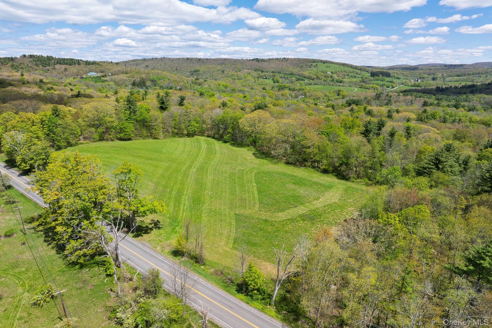 0 County Route 21 – For Sale photo 4