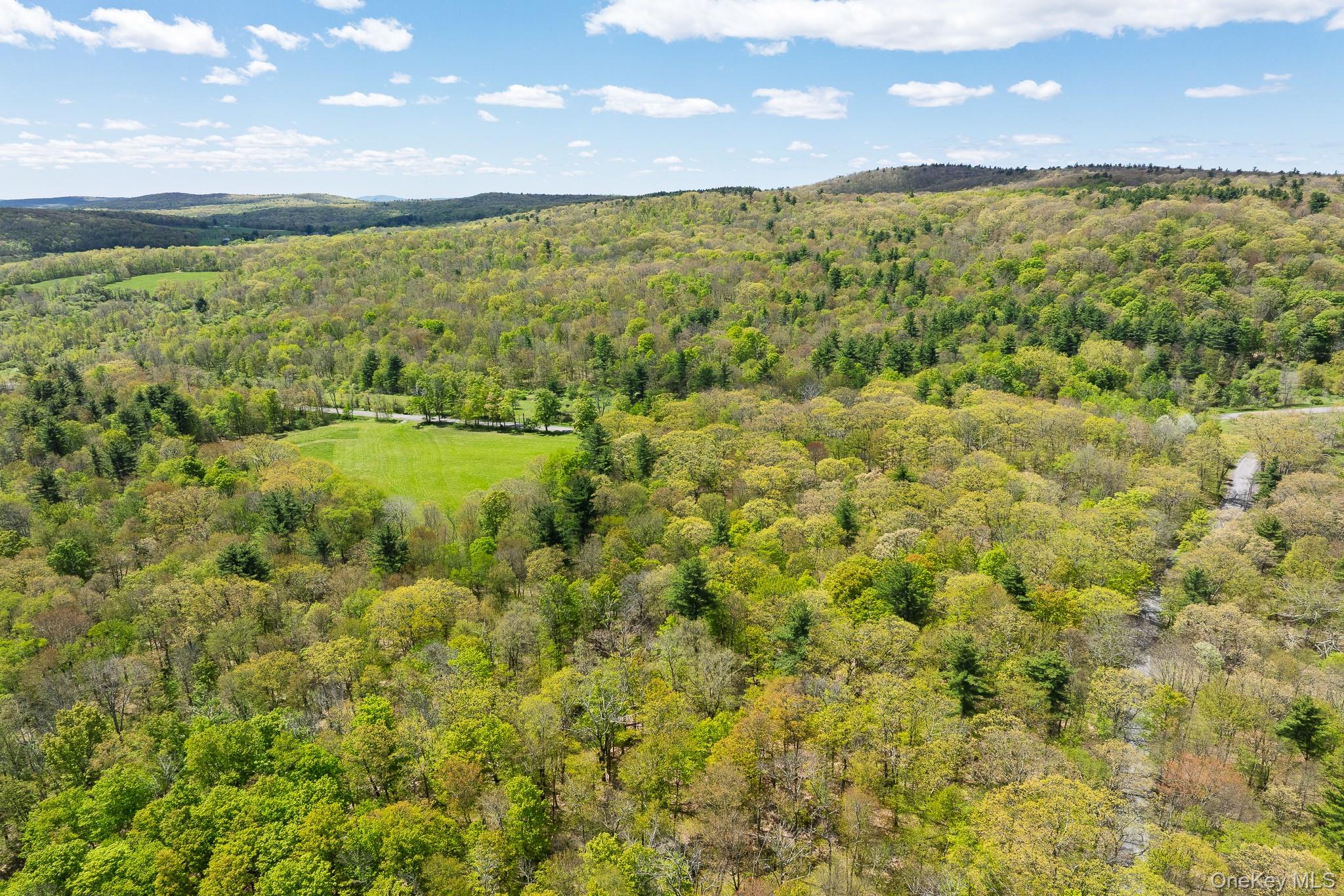 0 County Route 21 – For Sale photo 12