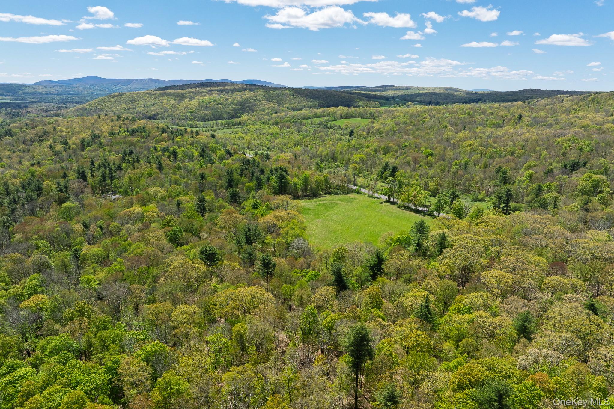 0 County Route 21 – For Sale photo 13