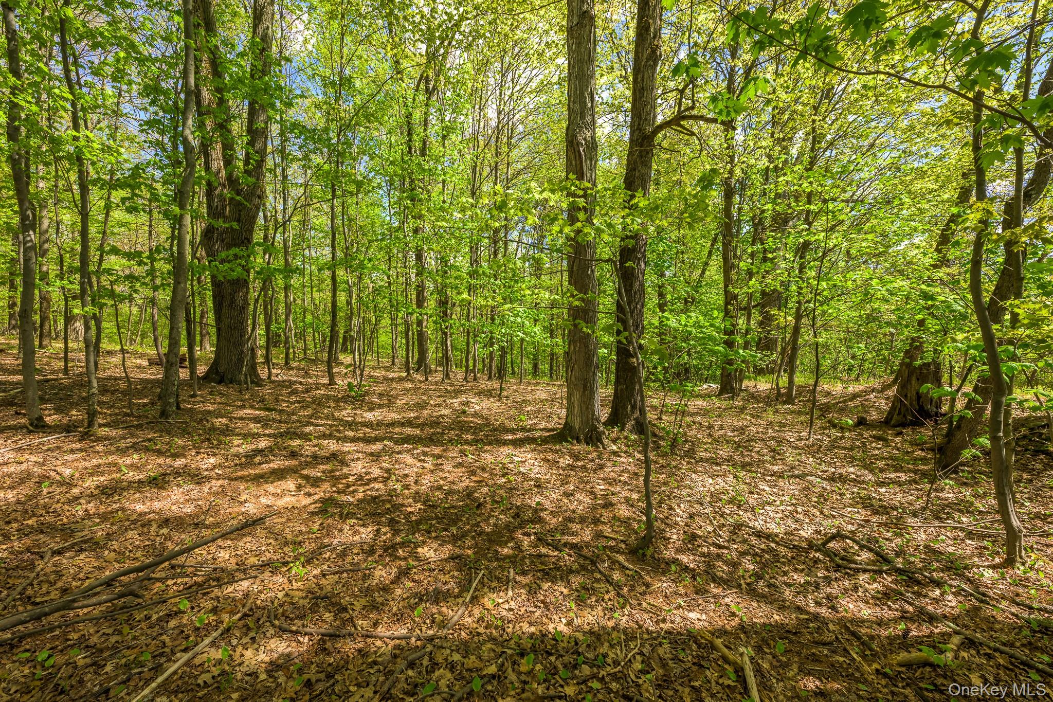 0 County Route 21 – For Sale photo 16