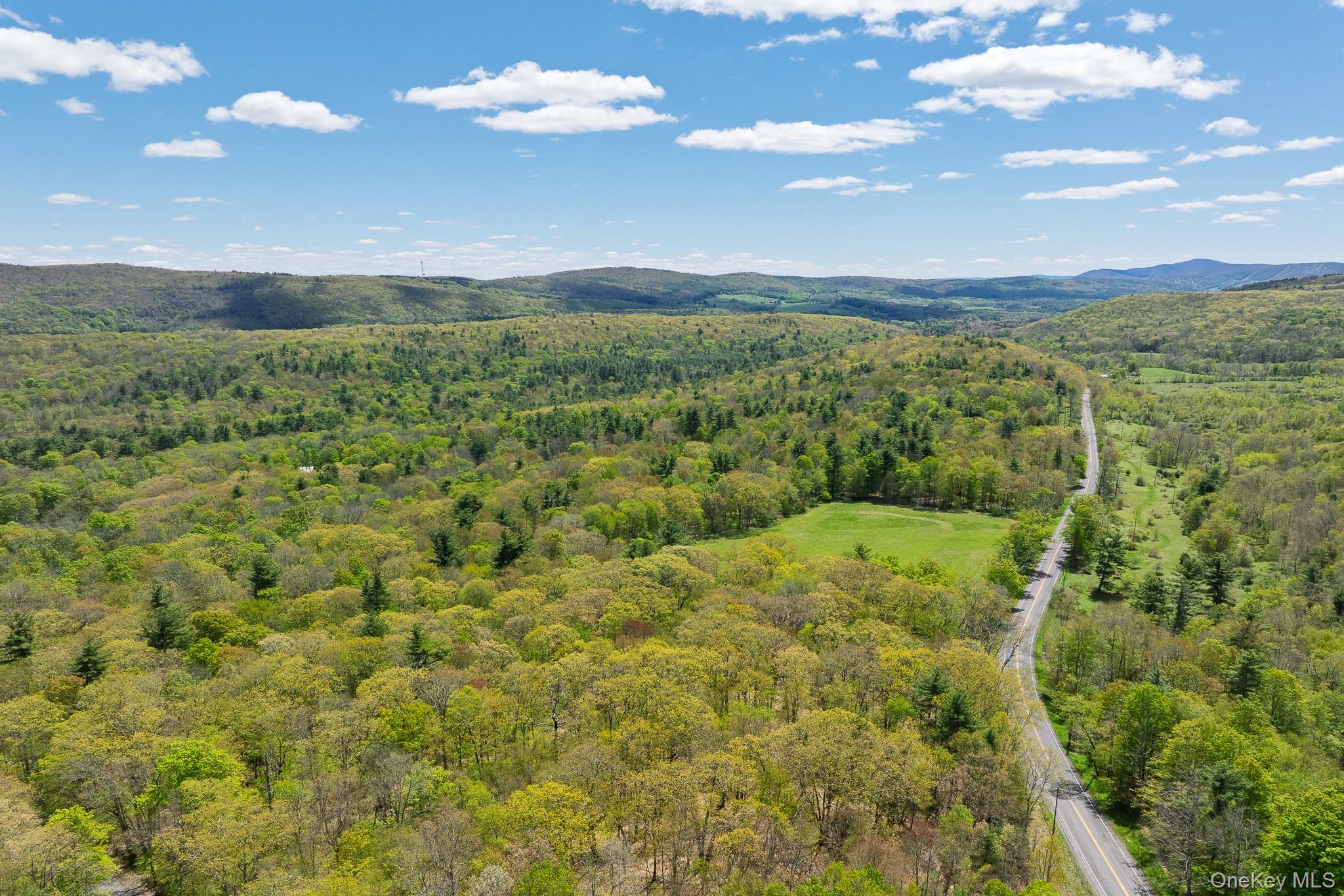 0 County Route 21 – For Sale photo 14