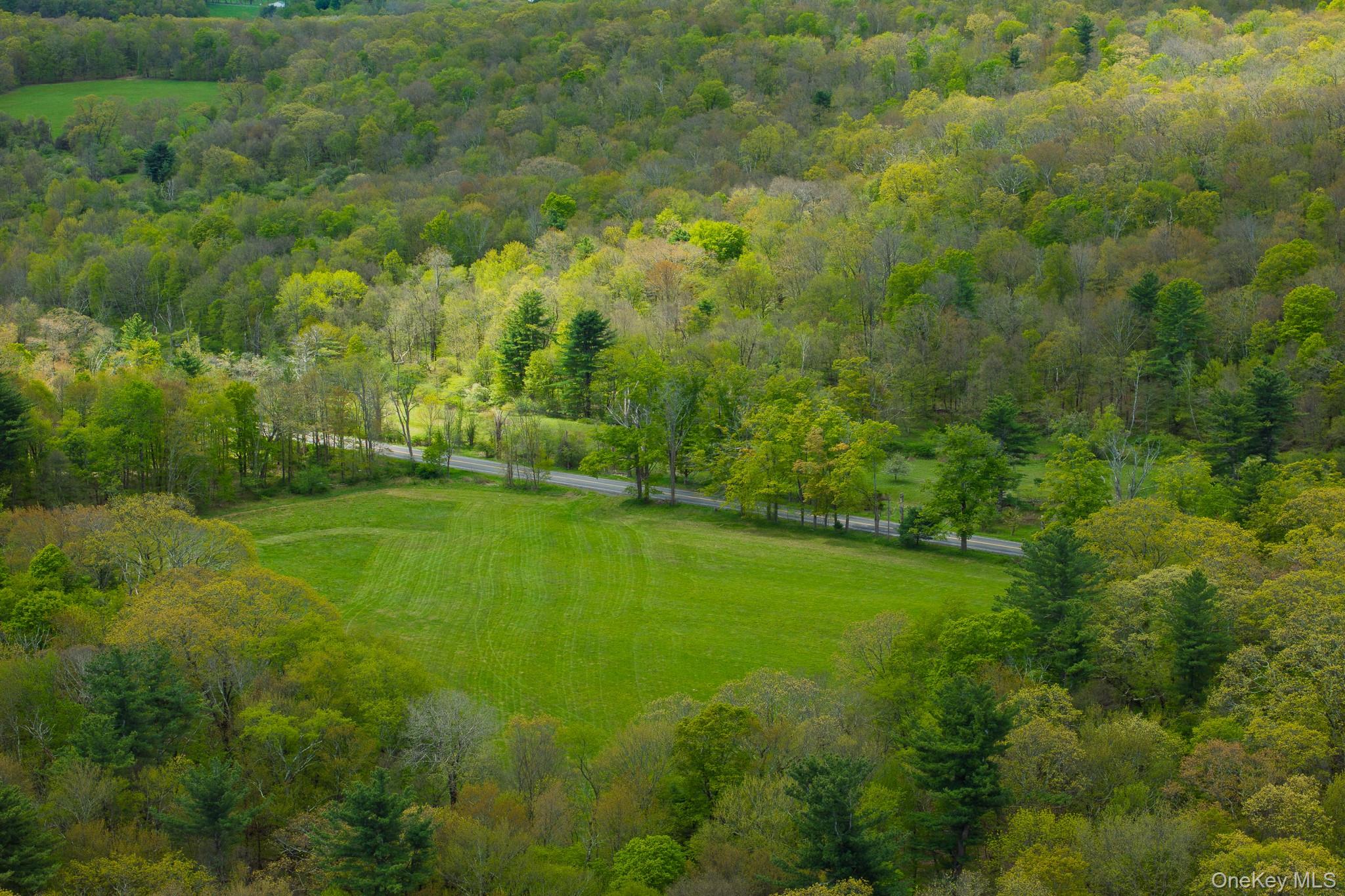 0 County Route 21 – For Sale photo 8
