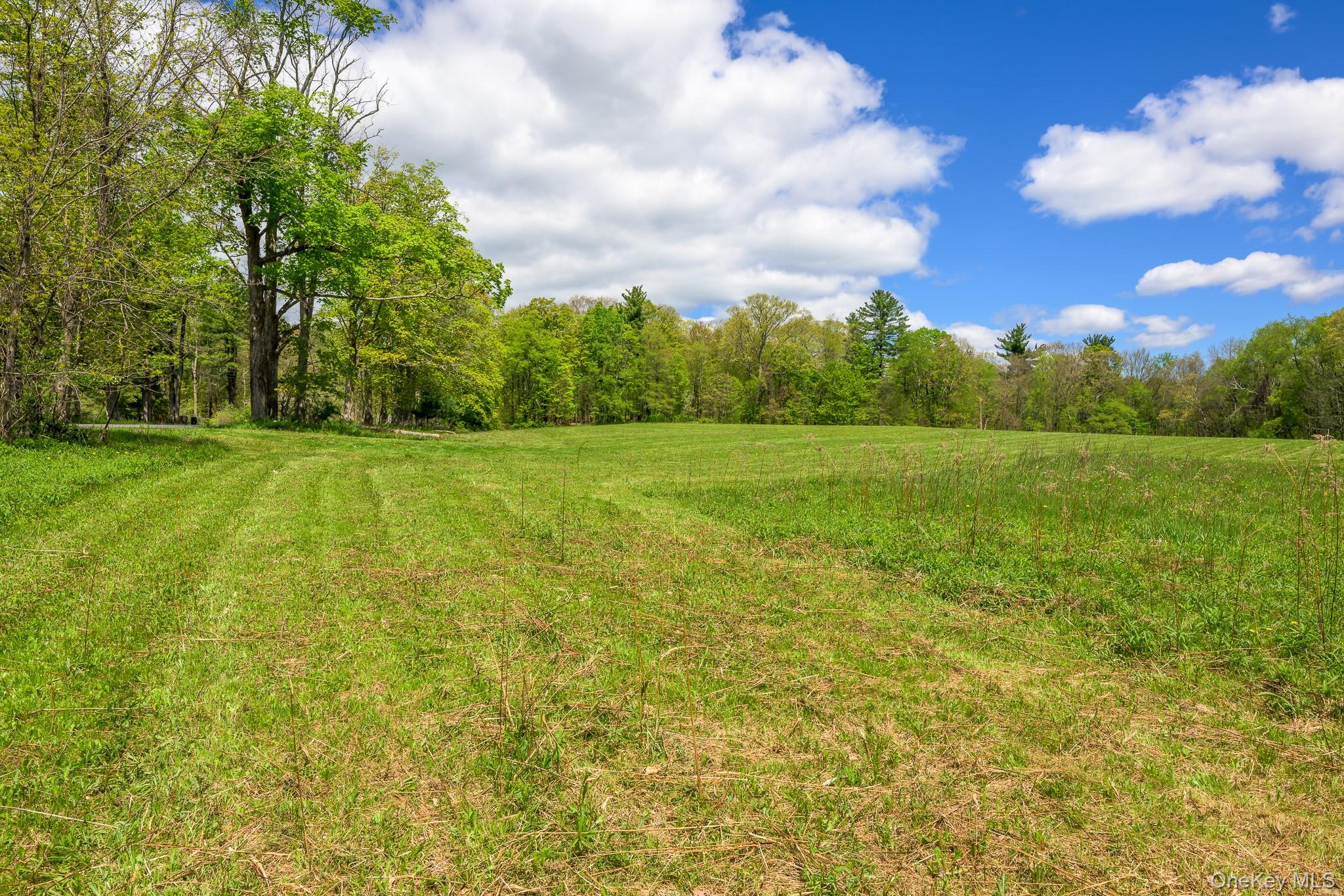 0 County Route 21 – For Sale photo 19