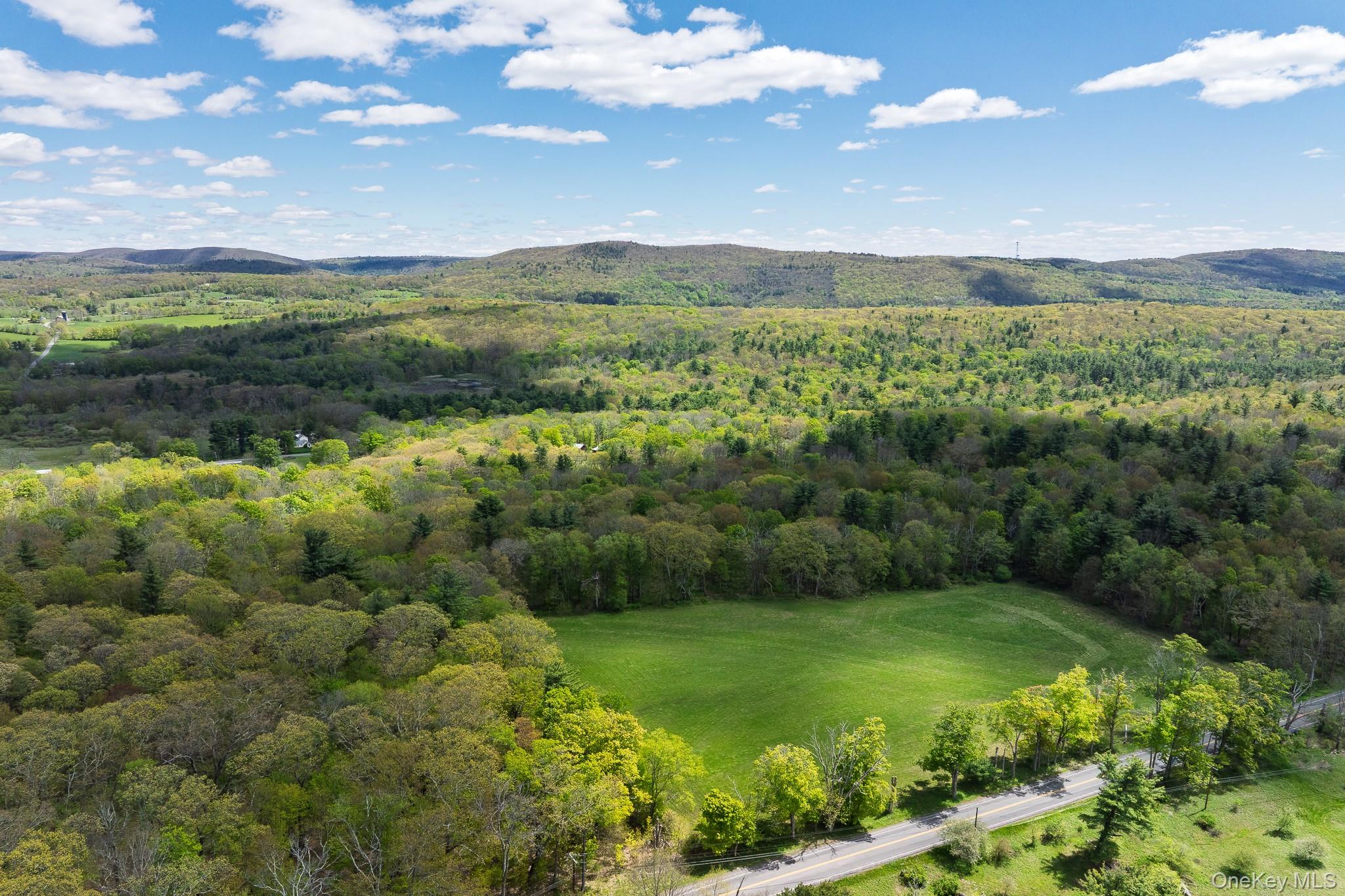 0 County Route 21 – For Sale
