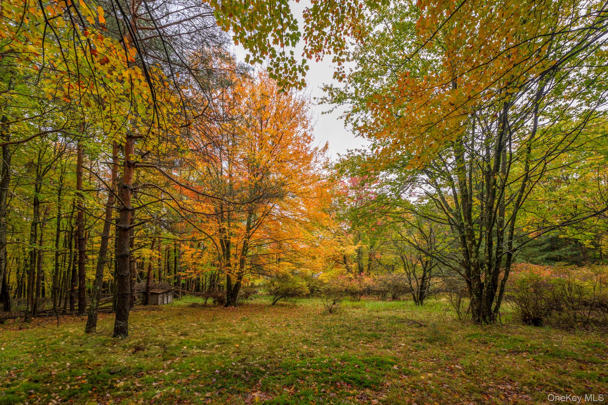 1013 Plank Road – For Sale photo 25