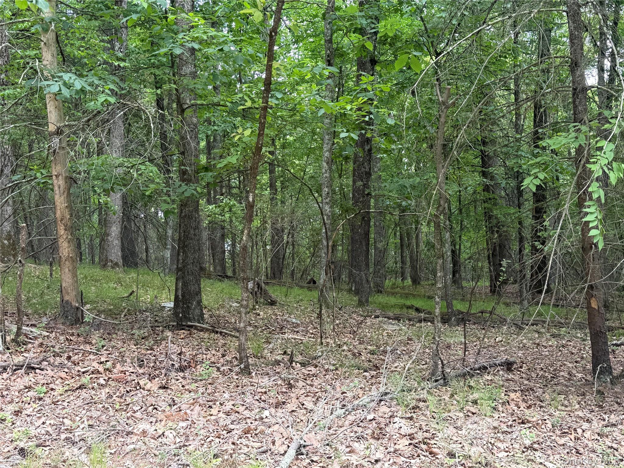 Browning Boulevard – For Sale photo 22
