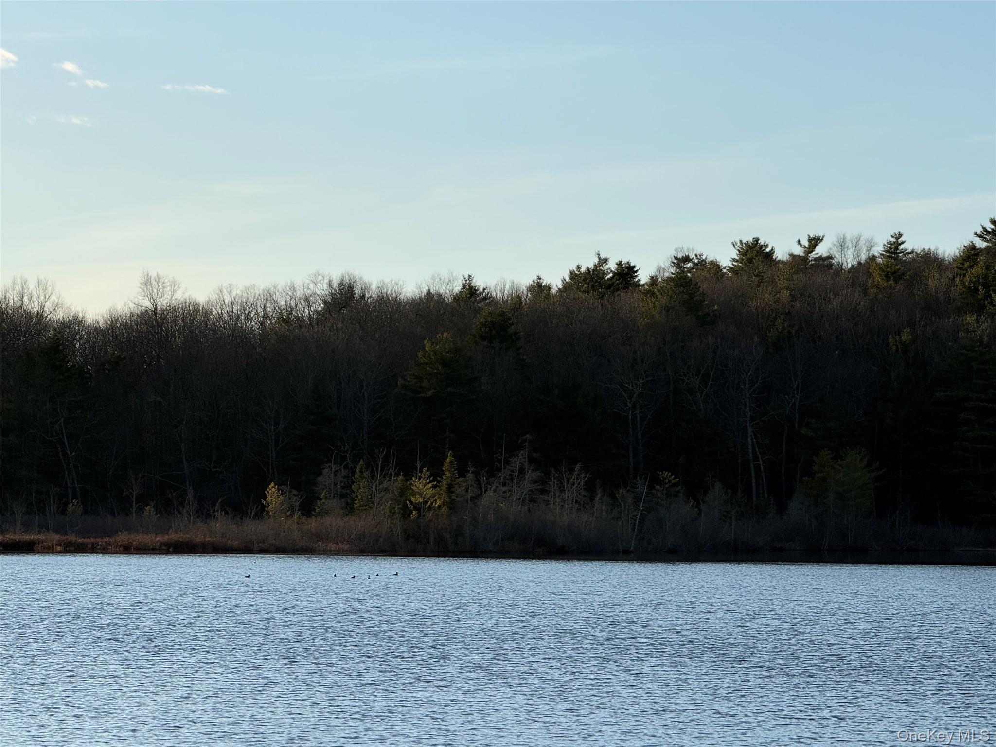 Browning Boulevard – For Sale photo 5