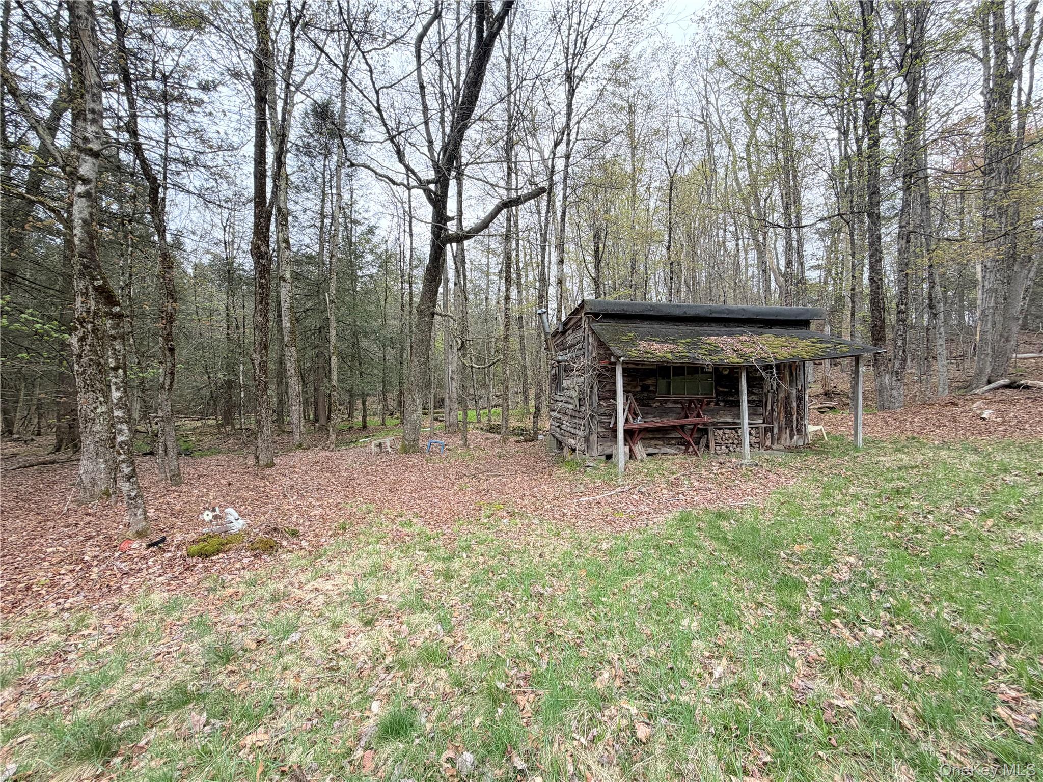 Muthig Road Tr 79 – For Sale photo 13