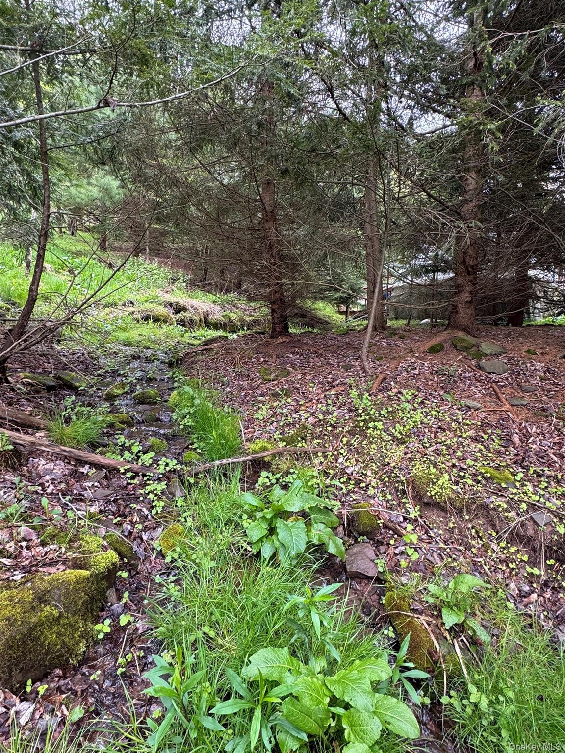 395 Federal Hill Rd 1 – For Sale photo 16