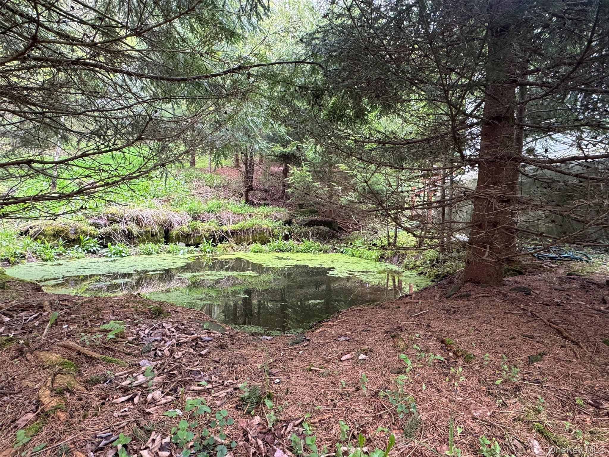 395 Federal Hill Rd 1 – For Sale photo 15