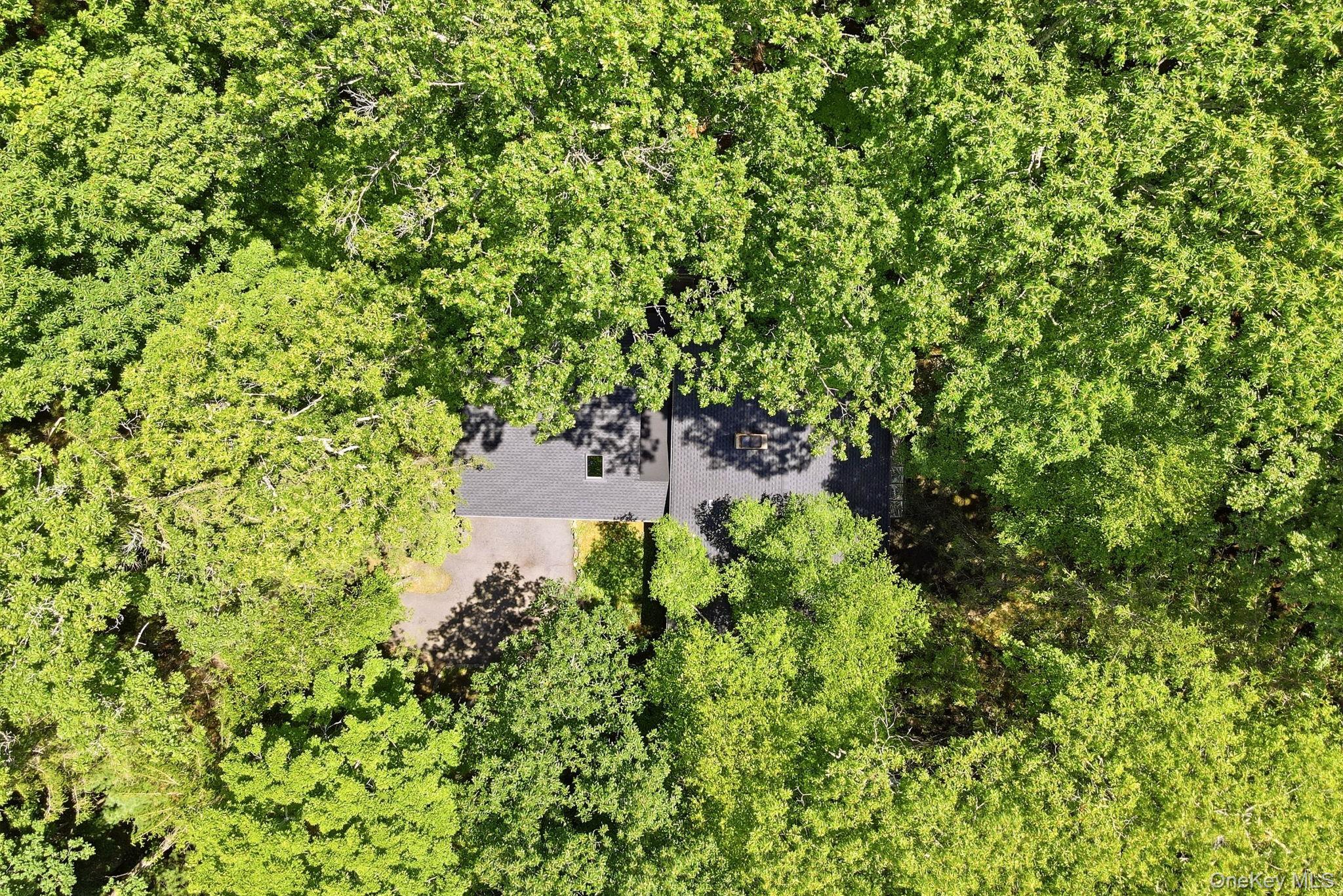 80 Clinton Road – For Sale photo 48