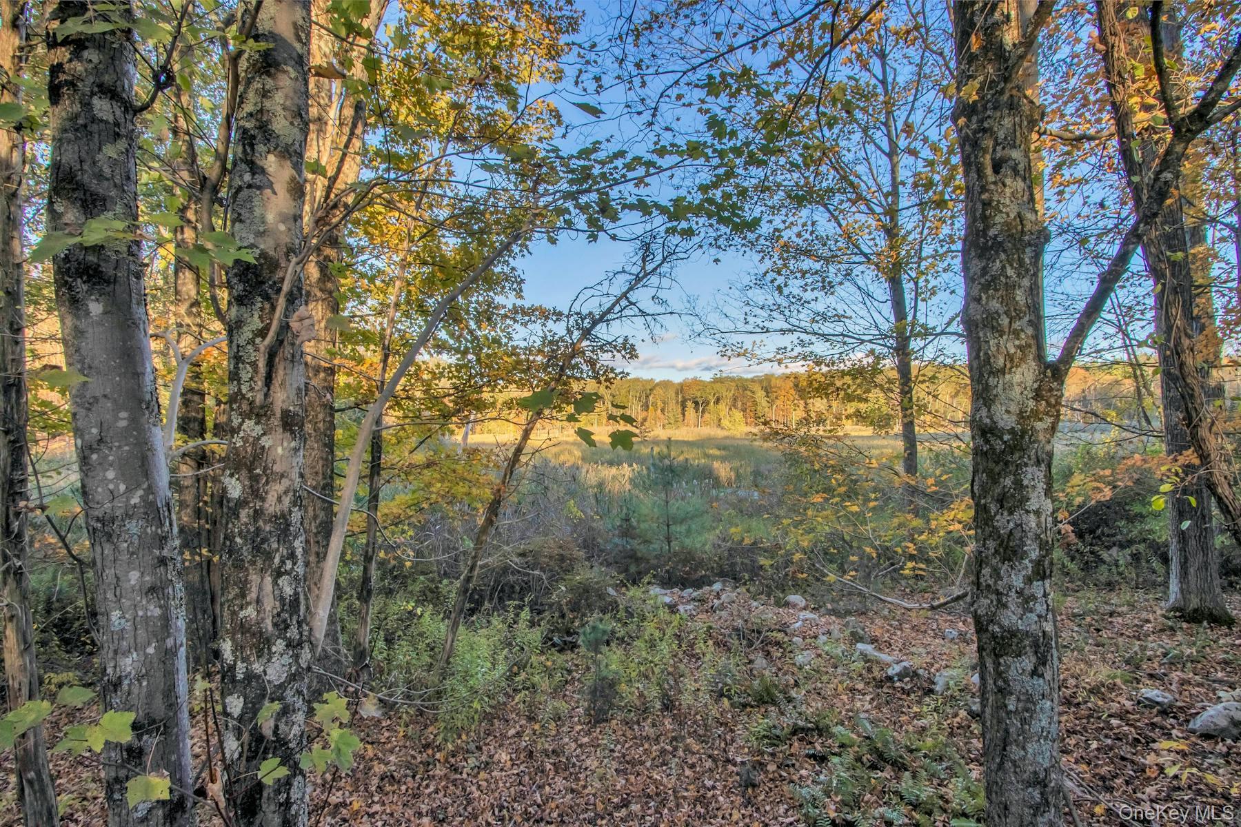 120 Dashville Road – For Sale photo 40