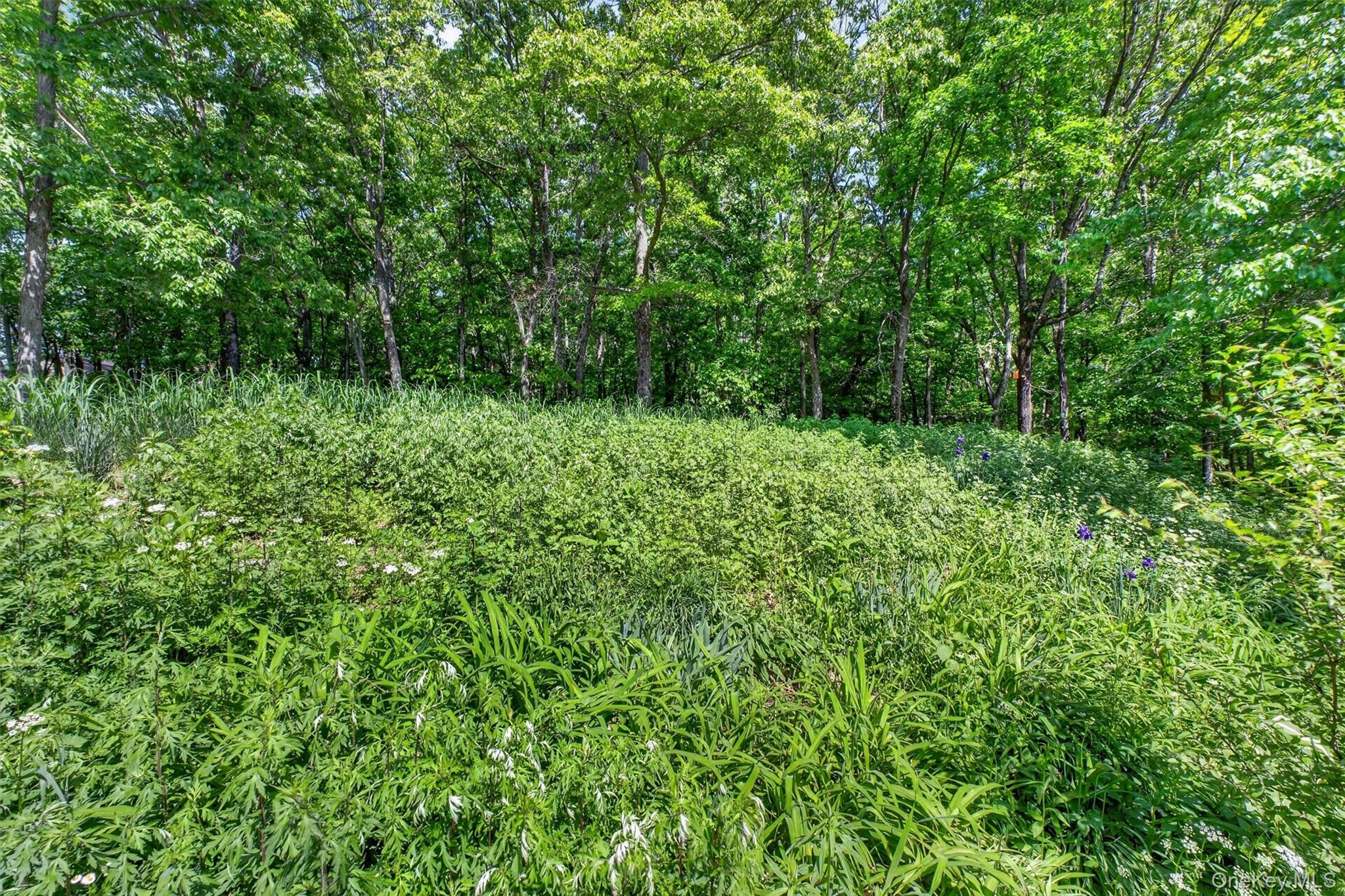 60 Eddy Road – For Sale photo 43
