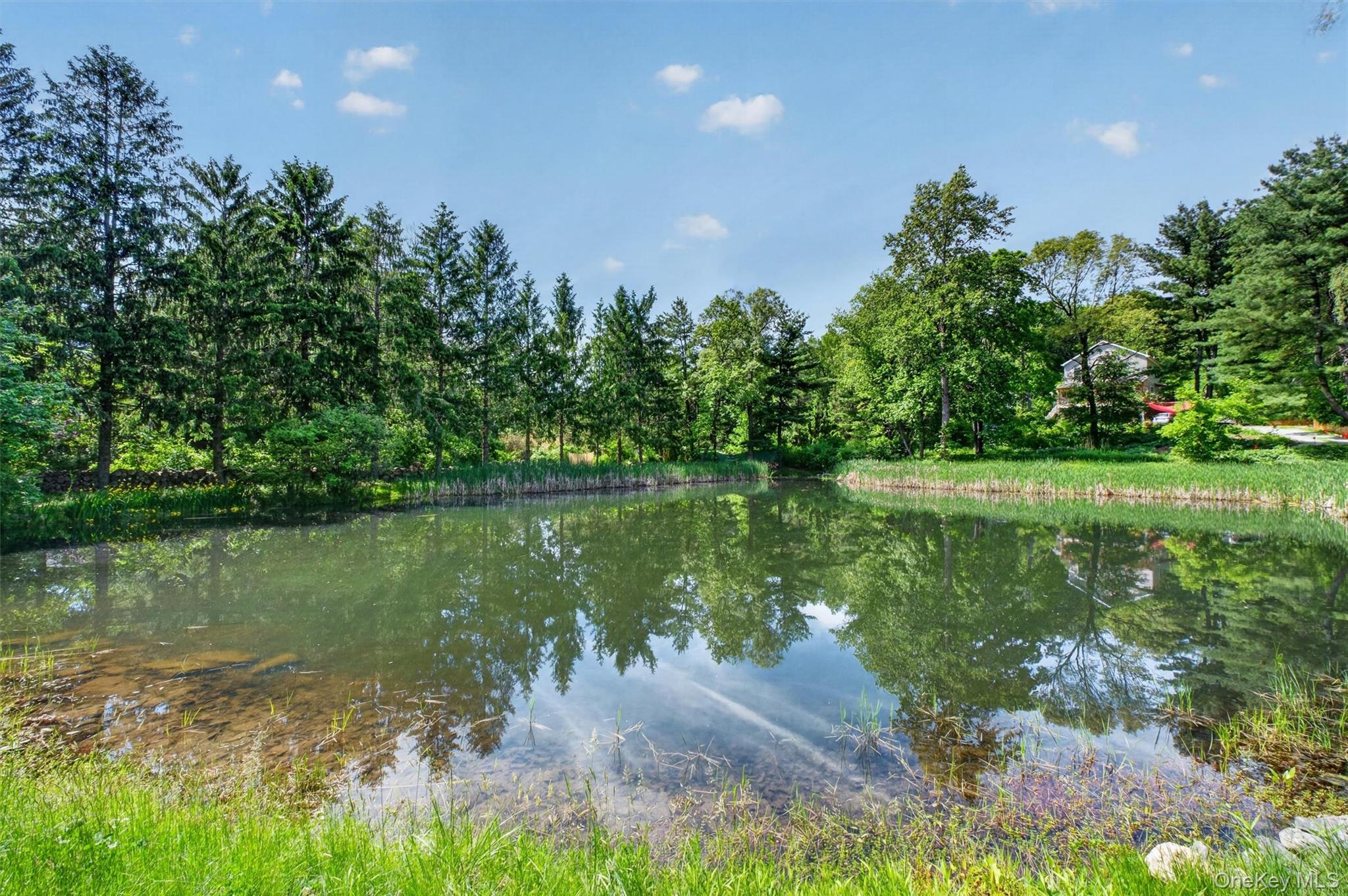 60 Eddy Road – For Sale photo 46