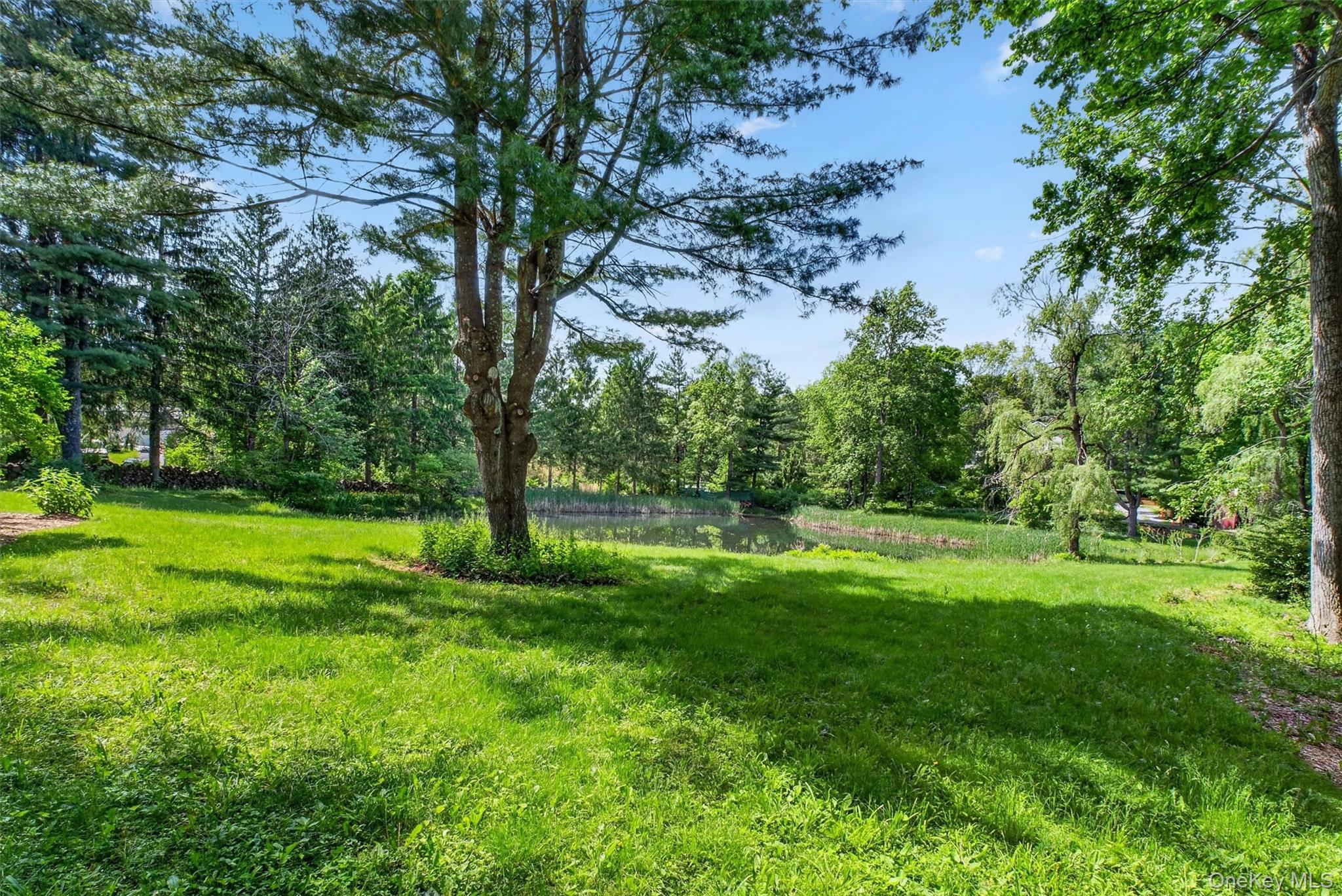 60 Eddy Road – For Sale photo 40
