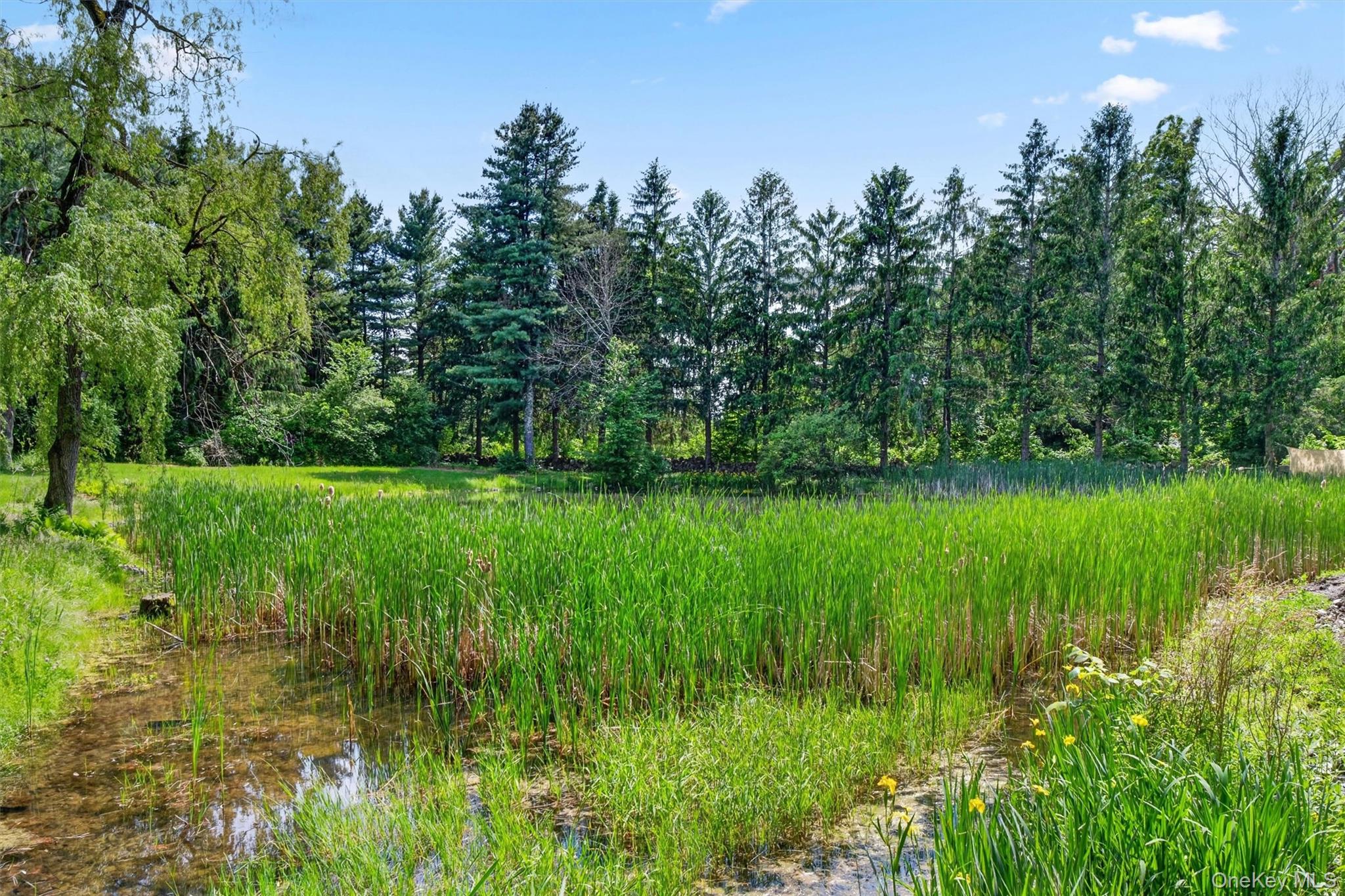 60 Eddy Road – For Sale photo 45
